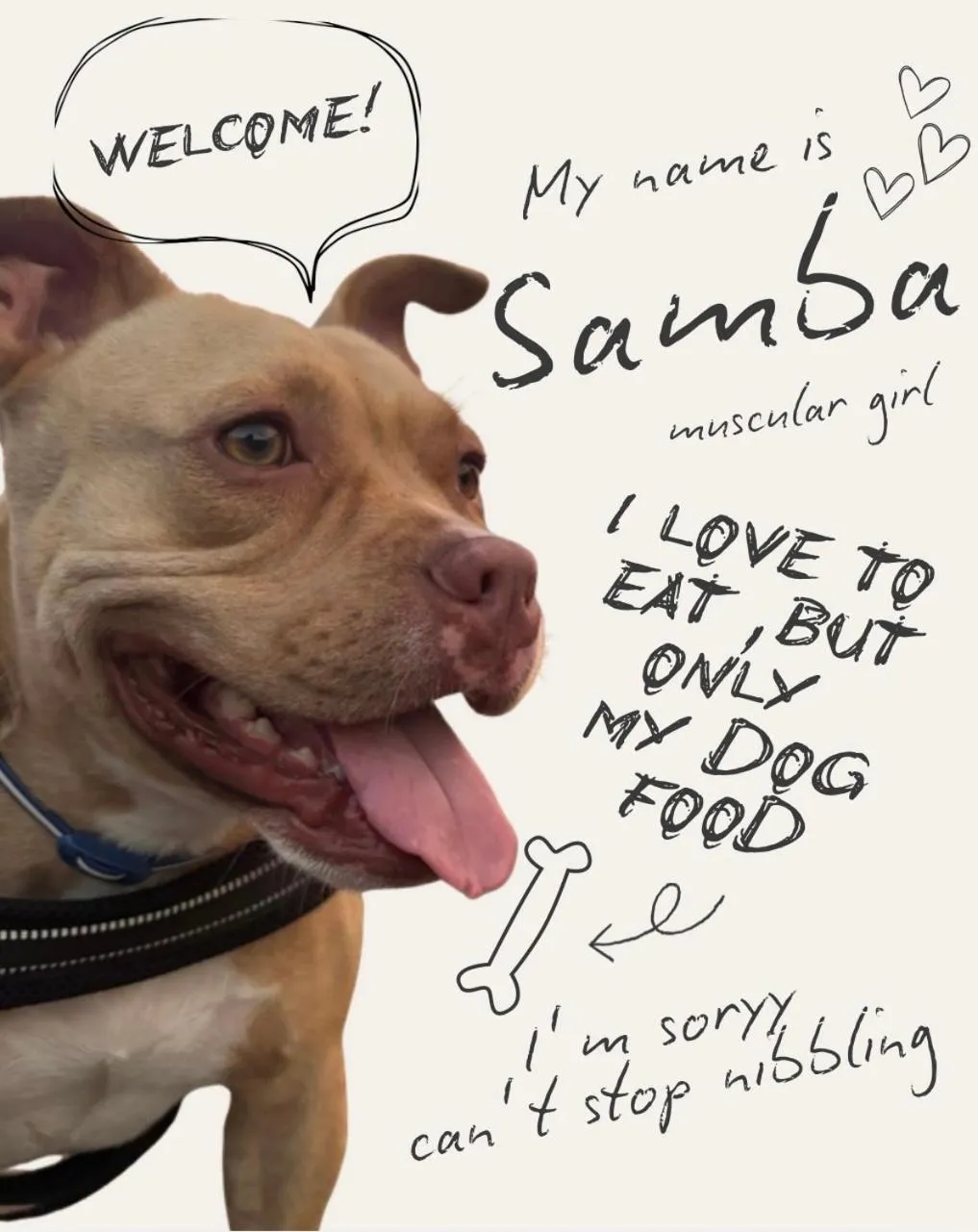 Area and facilities in Hakuba Pension & Log Hotel Meteor