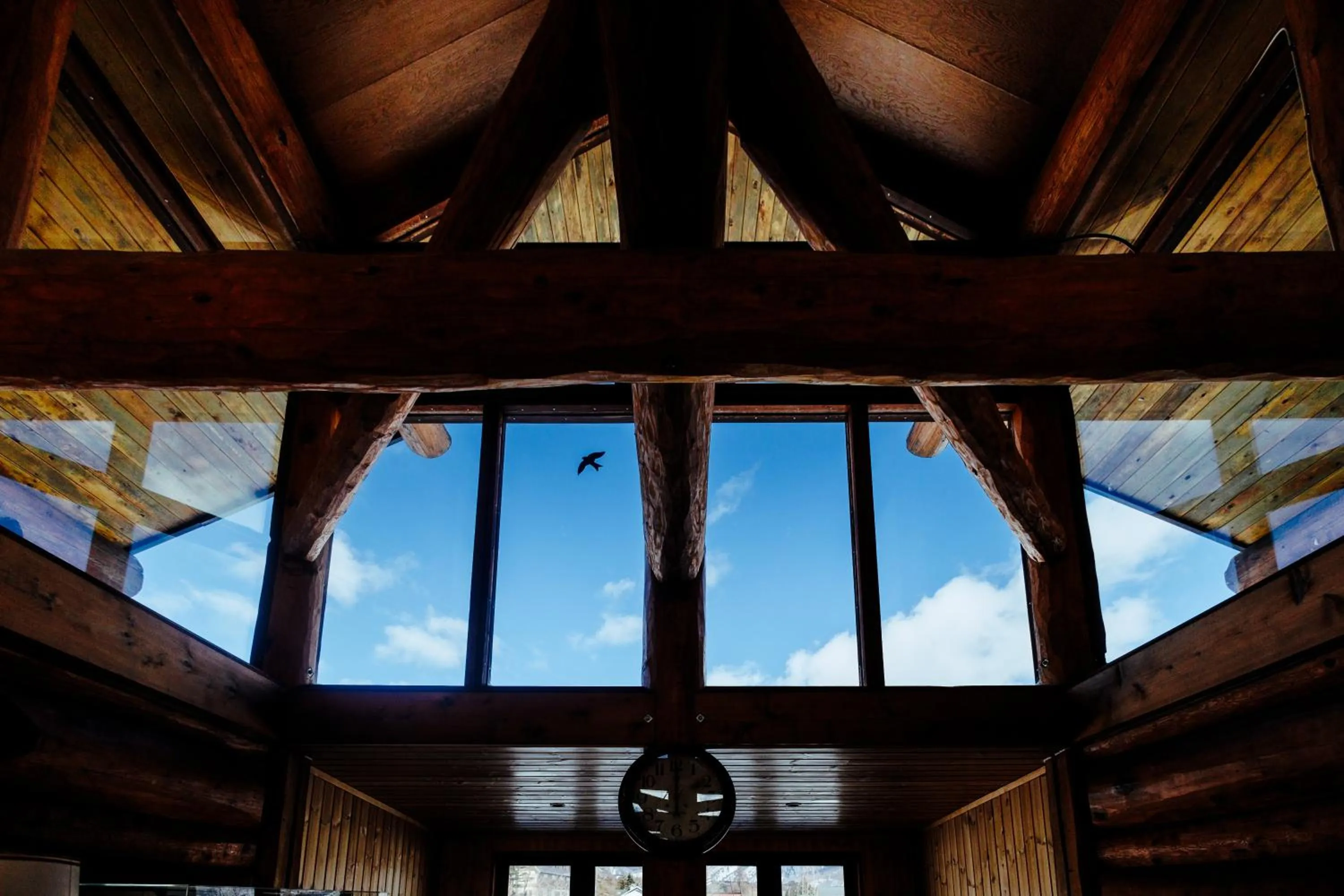 View (from property/room) in Hakuba Pension & Log Hotel Meteor