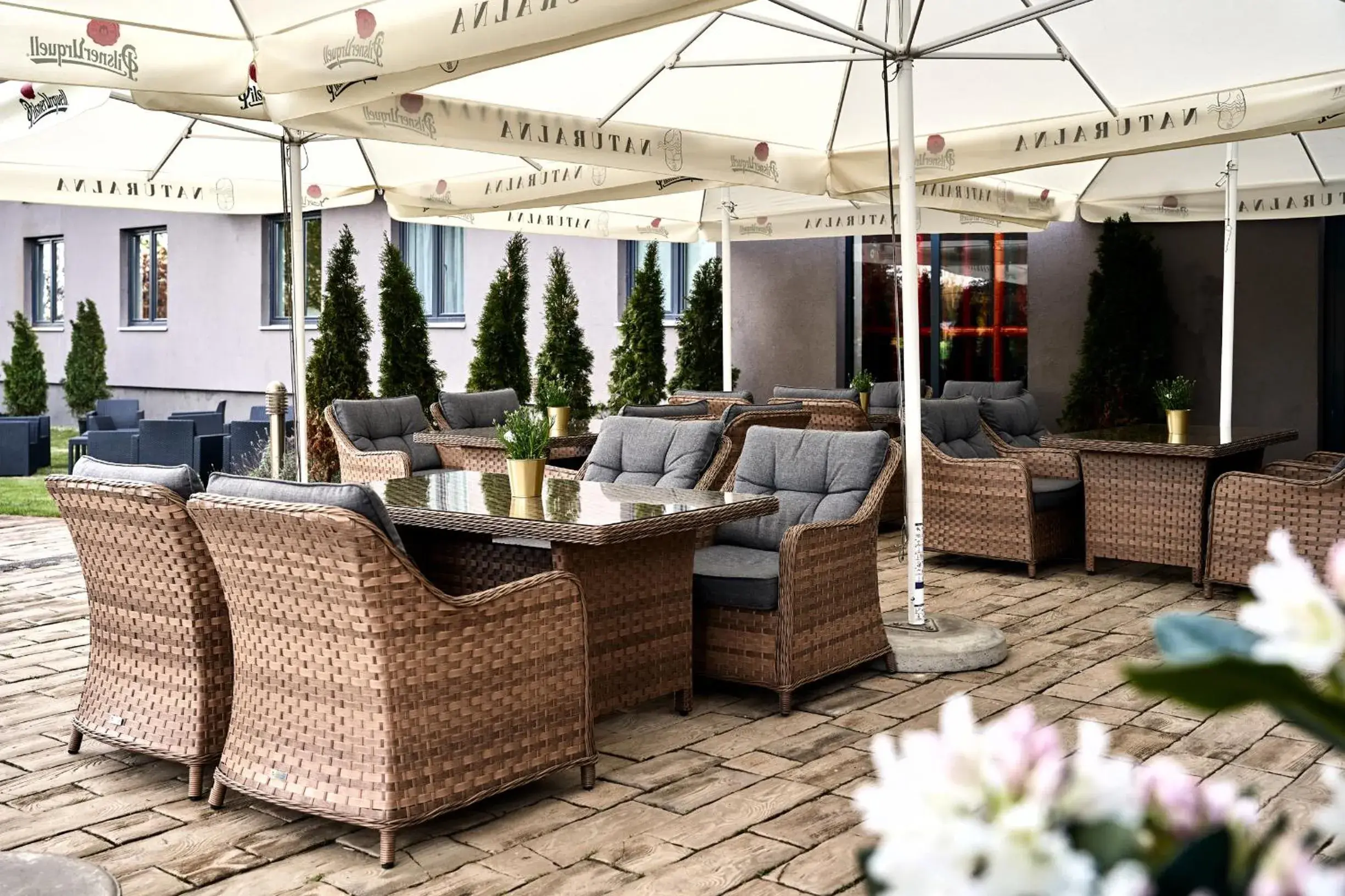 Restaurant/places to eat in Artis Loft Hotel Restaurant/places to eat in Artis Loft Hotel