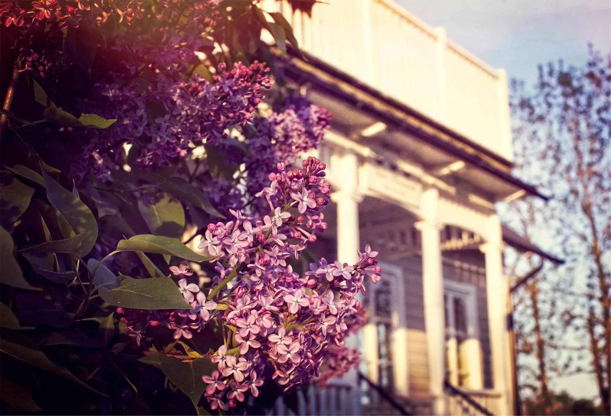 Property building in Three Pheasants Boutique Bed and Breakfast