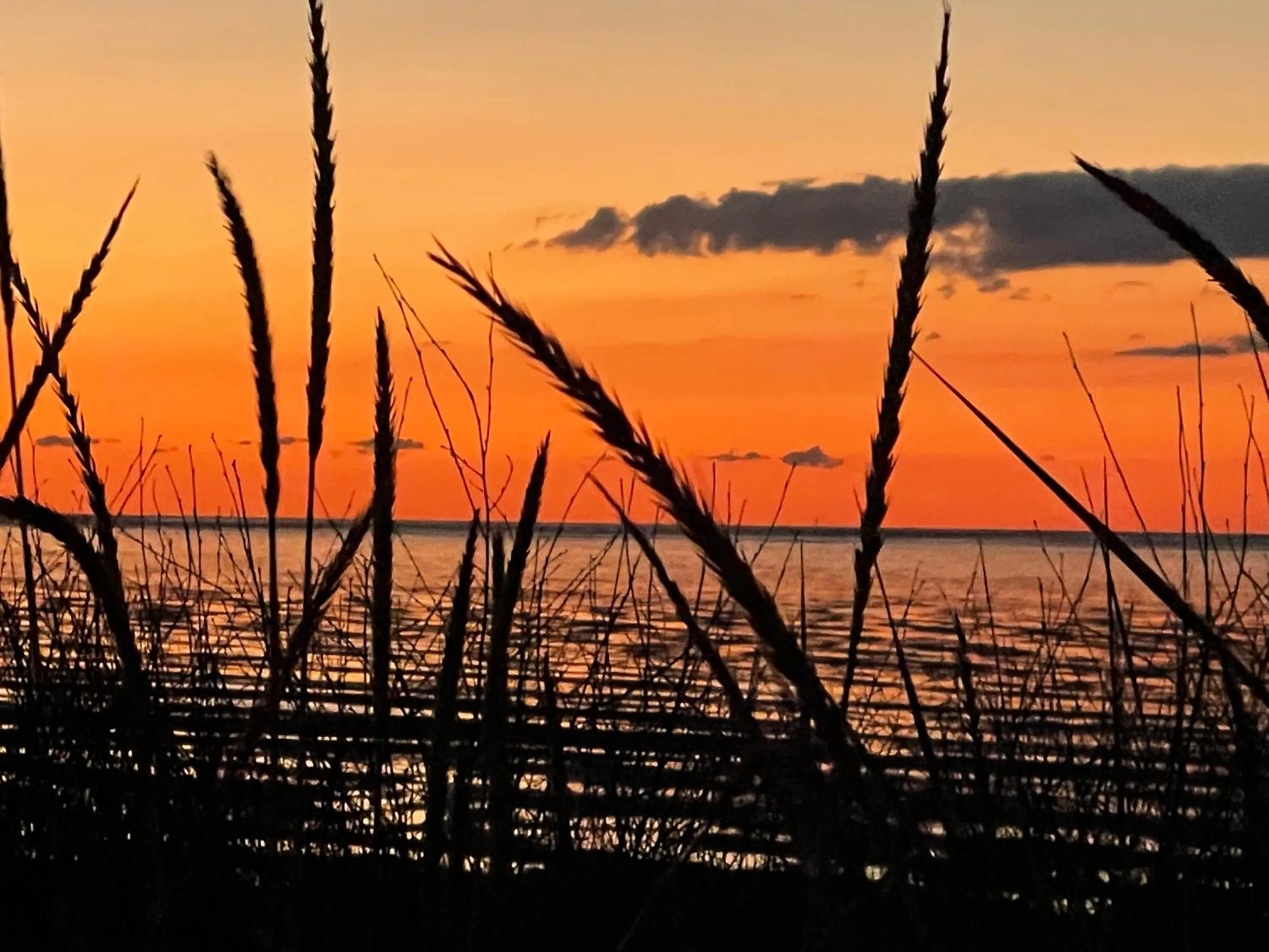 Natural landscape in Moin Hotel Cuxhaven