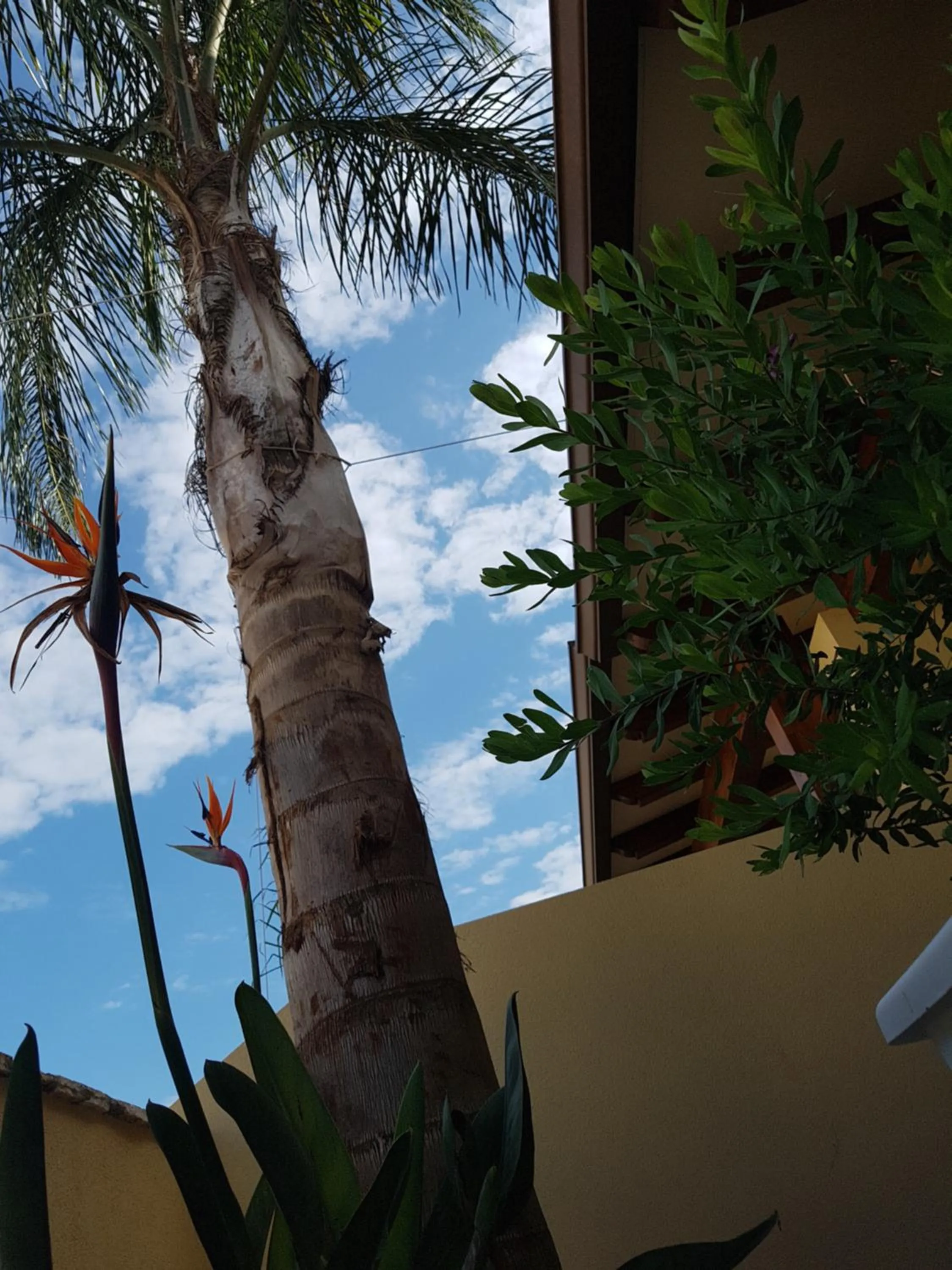 Garden in B&B Aloe Comfort Rooms