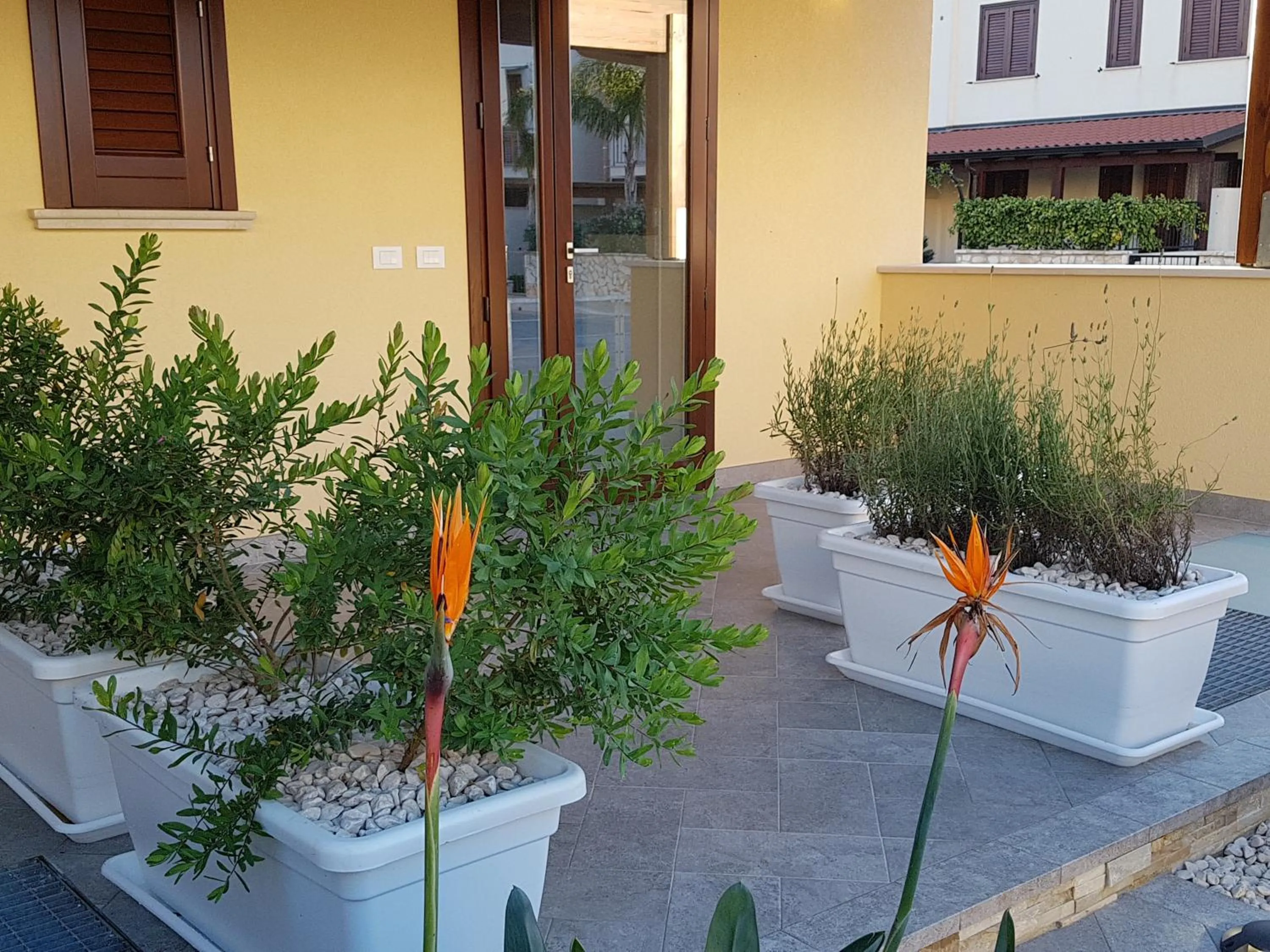 Garden in B&B Aloe Comfort Rooms