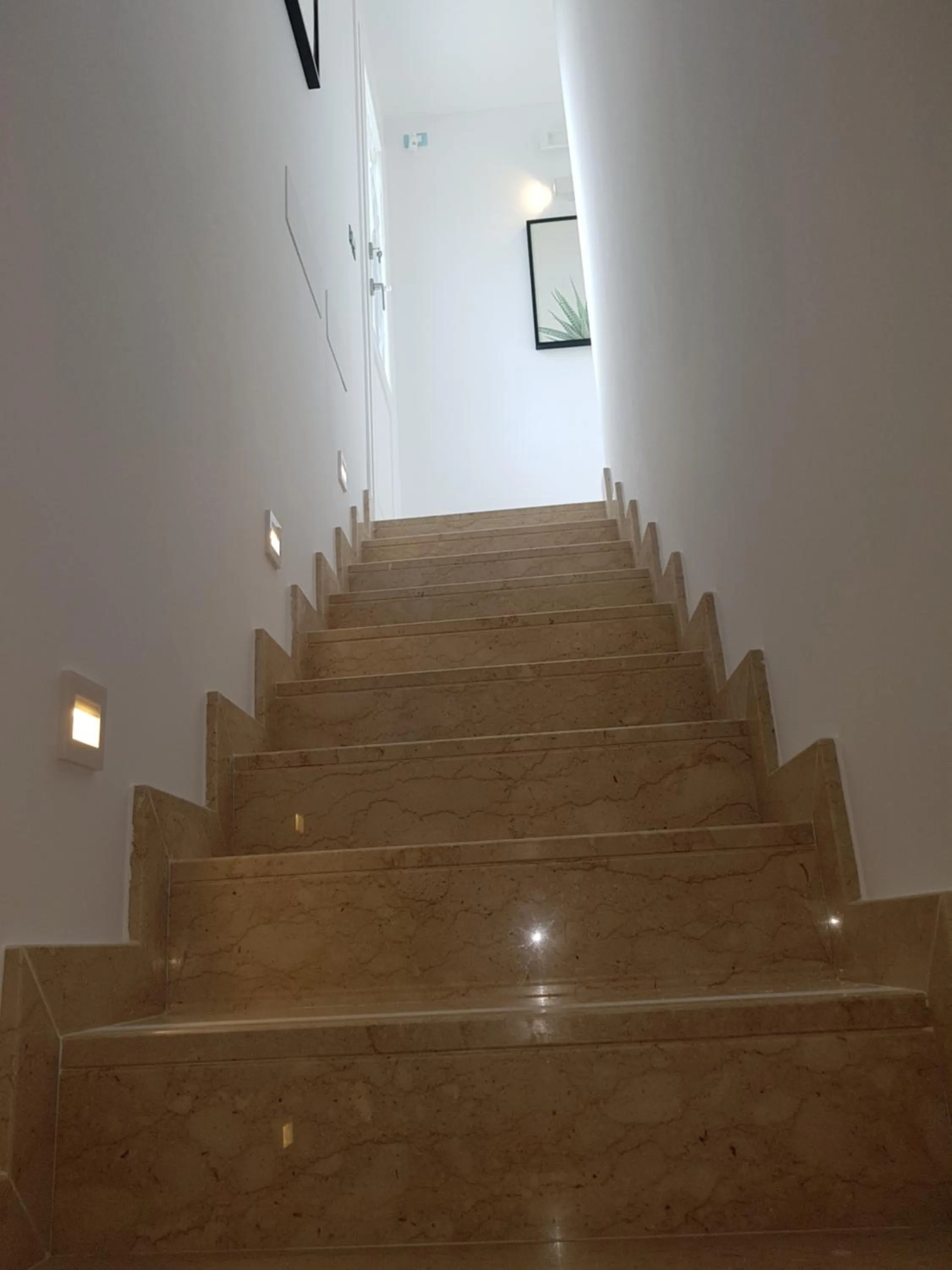 Area and facilities in B&B Aloe Comfort Rooms