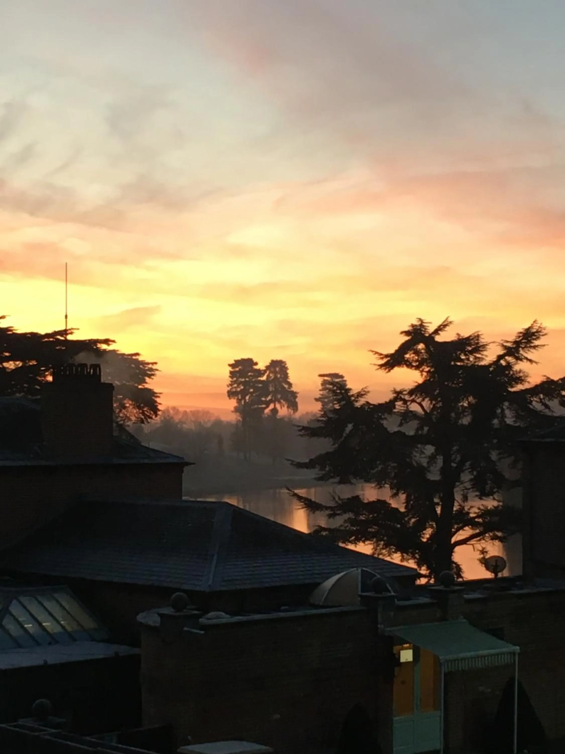 View (from property/room) in Melbourne Lodge