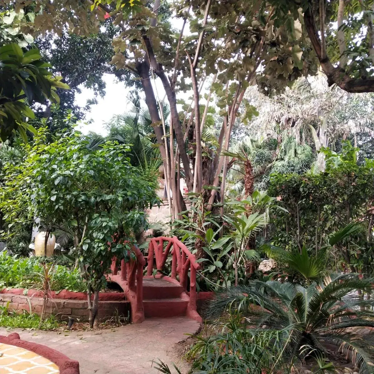 Property building in Ranjit's Svaasa Amritsar Property building in Ranjit's Svaasa Amritsar