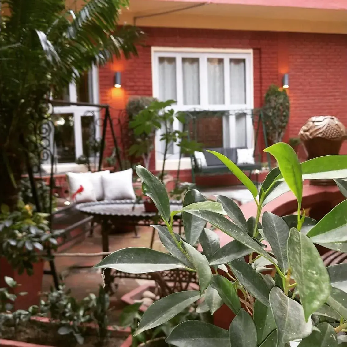 Property building in Ranjit's Svaasa Amritsar Property building in Ranjit's Svaasa Amritsar