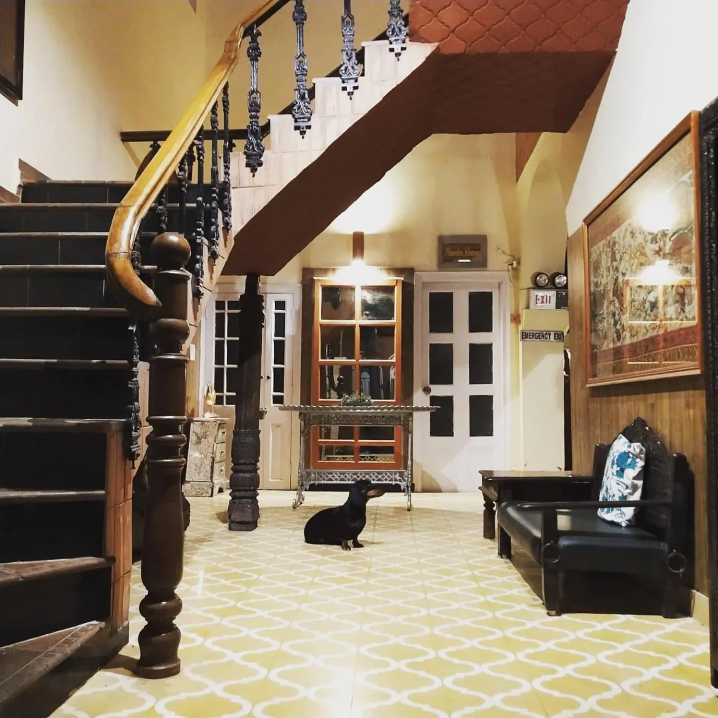 Pets in Ranjit's Svaasa Amritsar