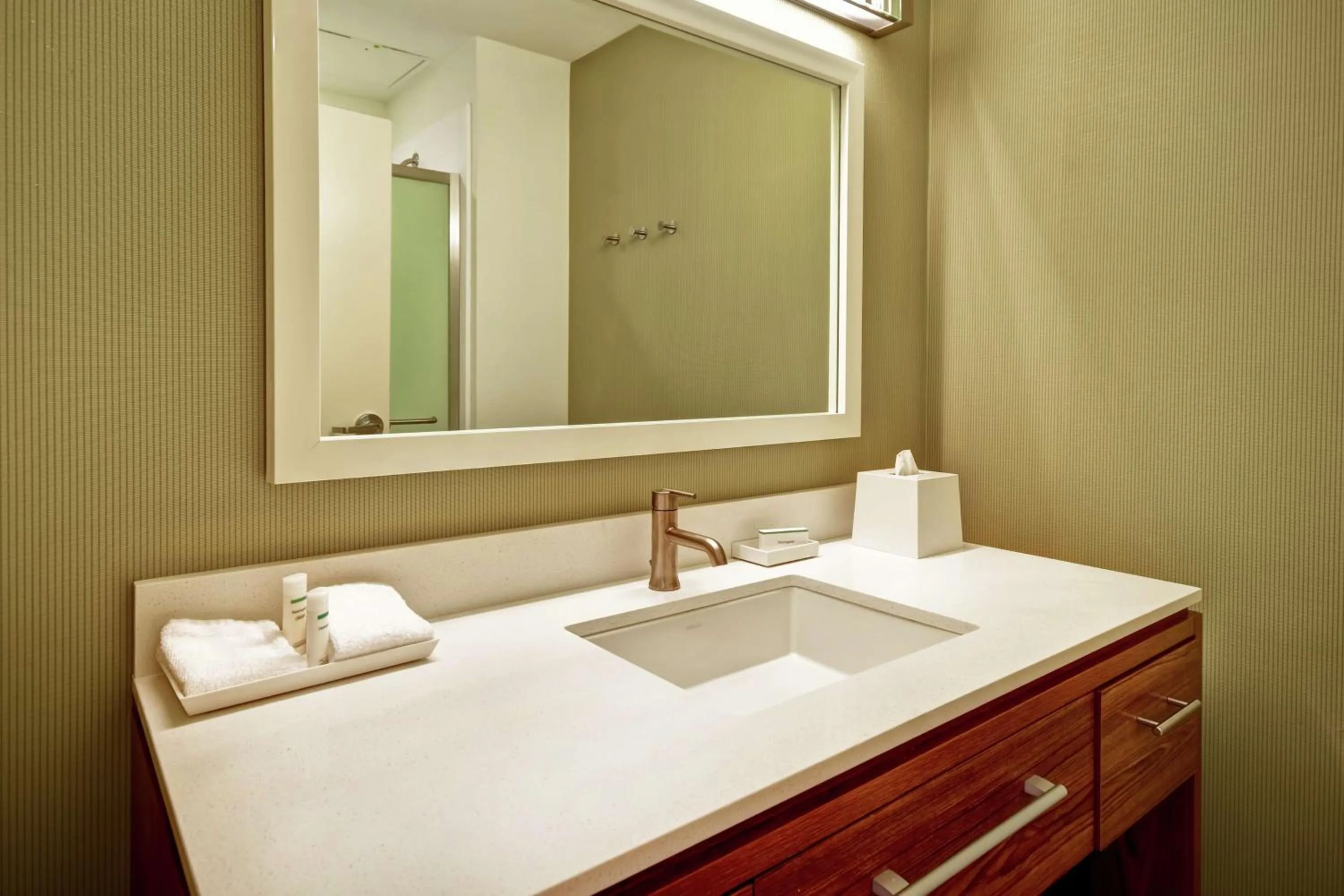 Bathroom, Bed in Home2 Suites By Hilton Smyrna Nashville