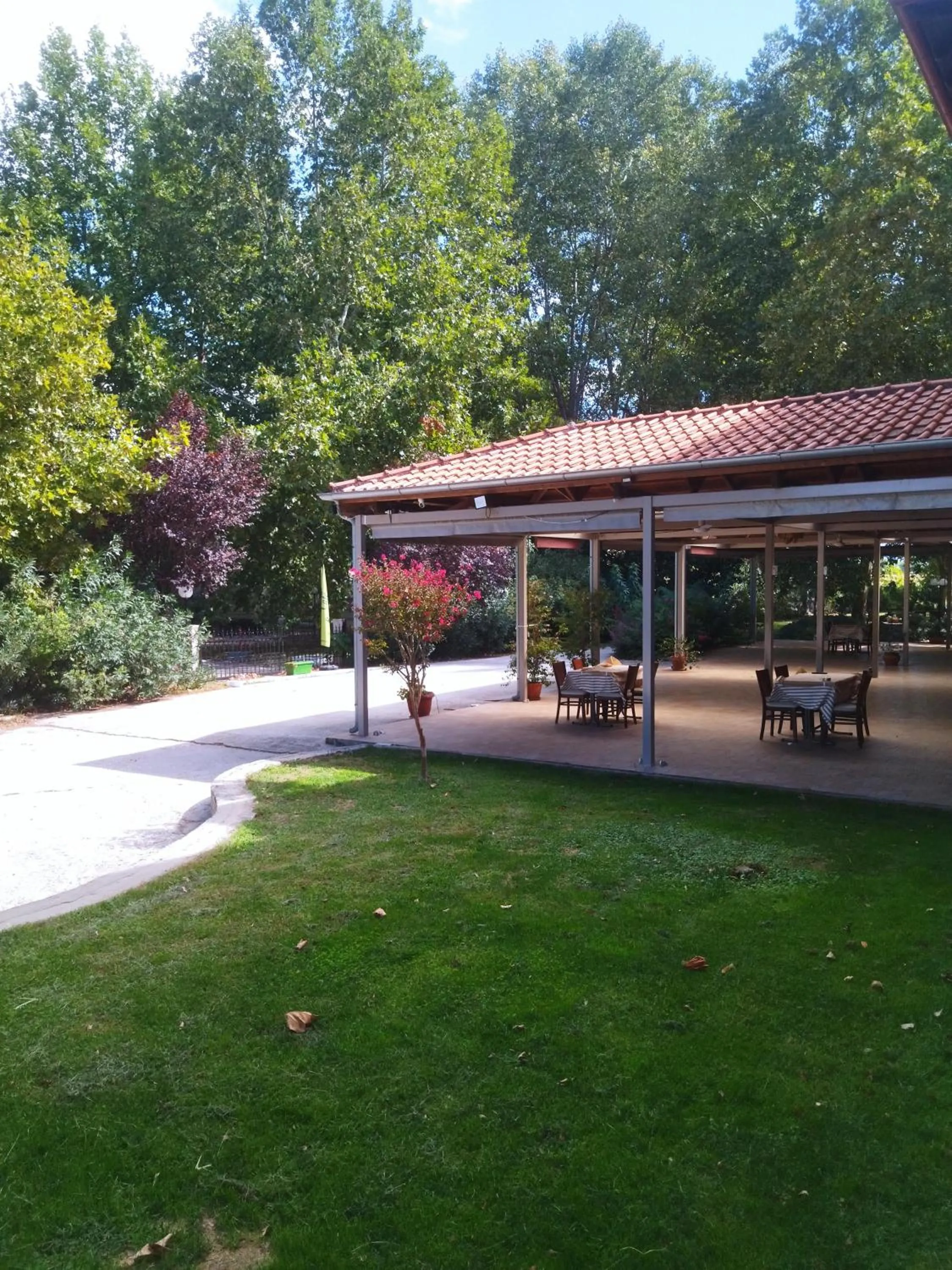 Restaurant/places to eat in Yannis Hotel