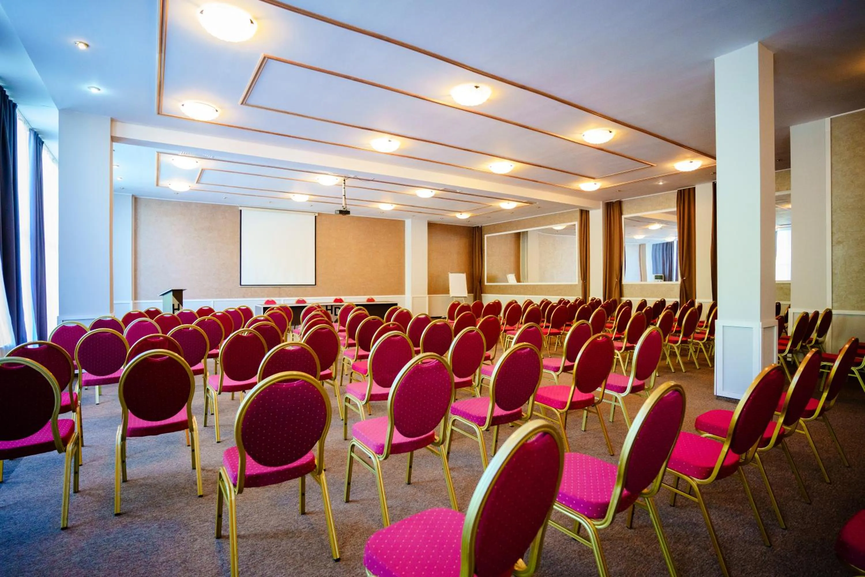 Meeting/conference room in Bacolux Diana, Herculane