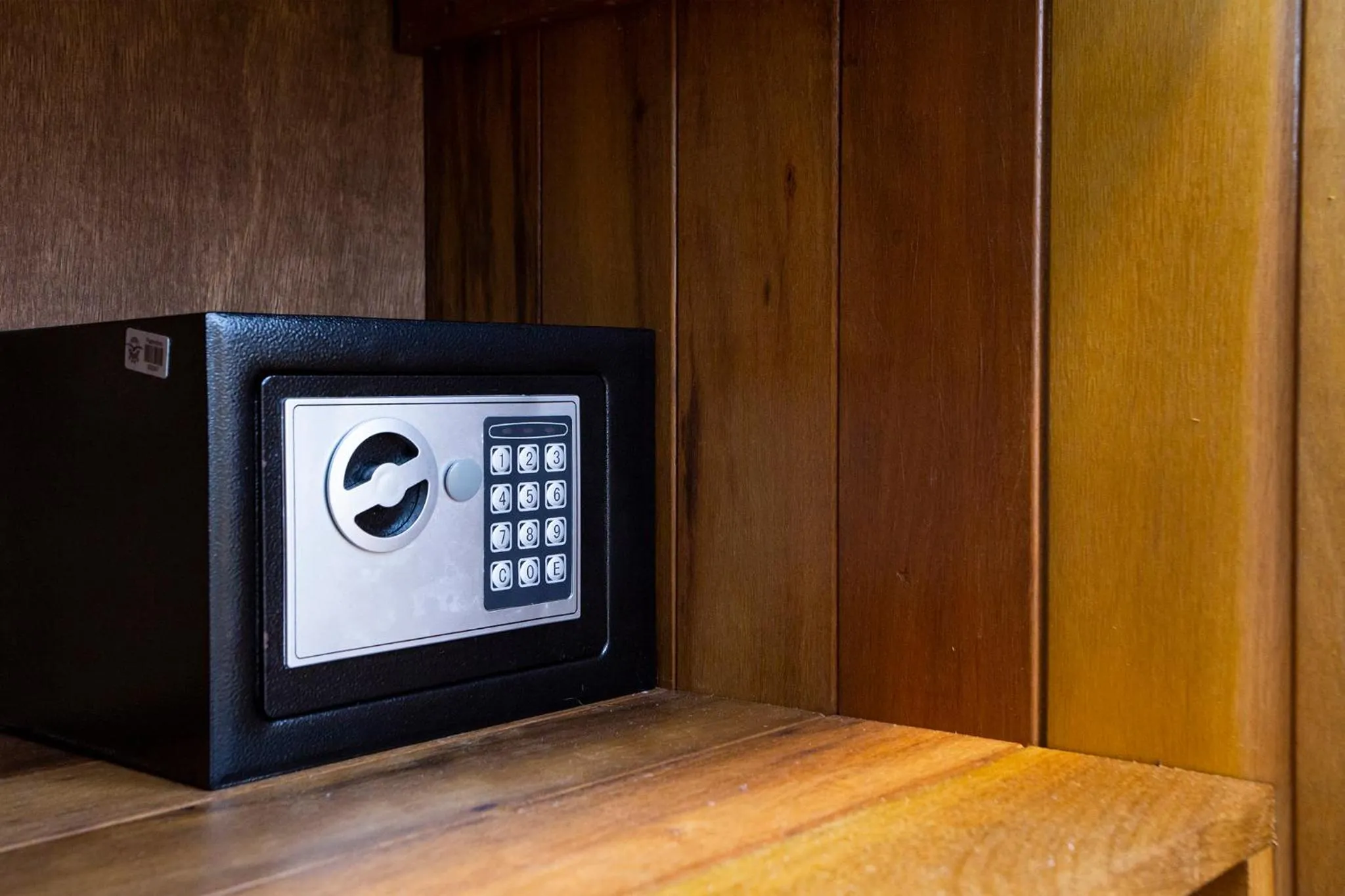 Garden view in Hotel Mercedes