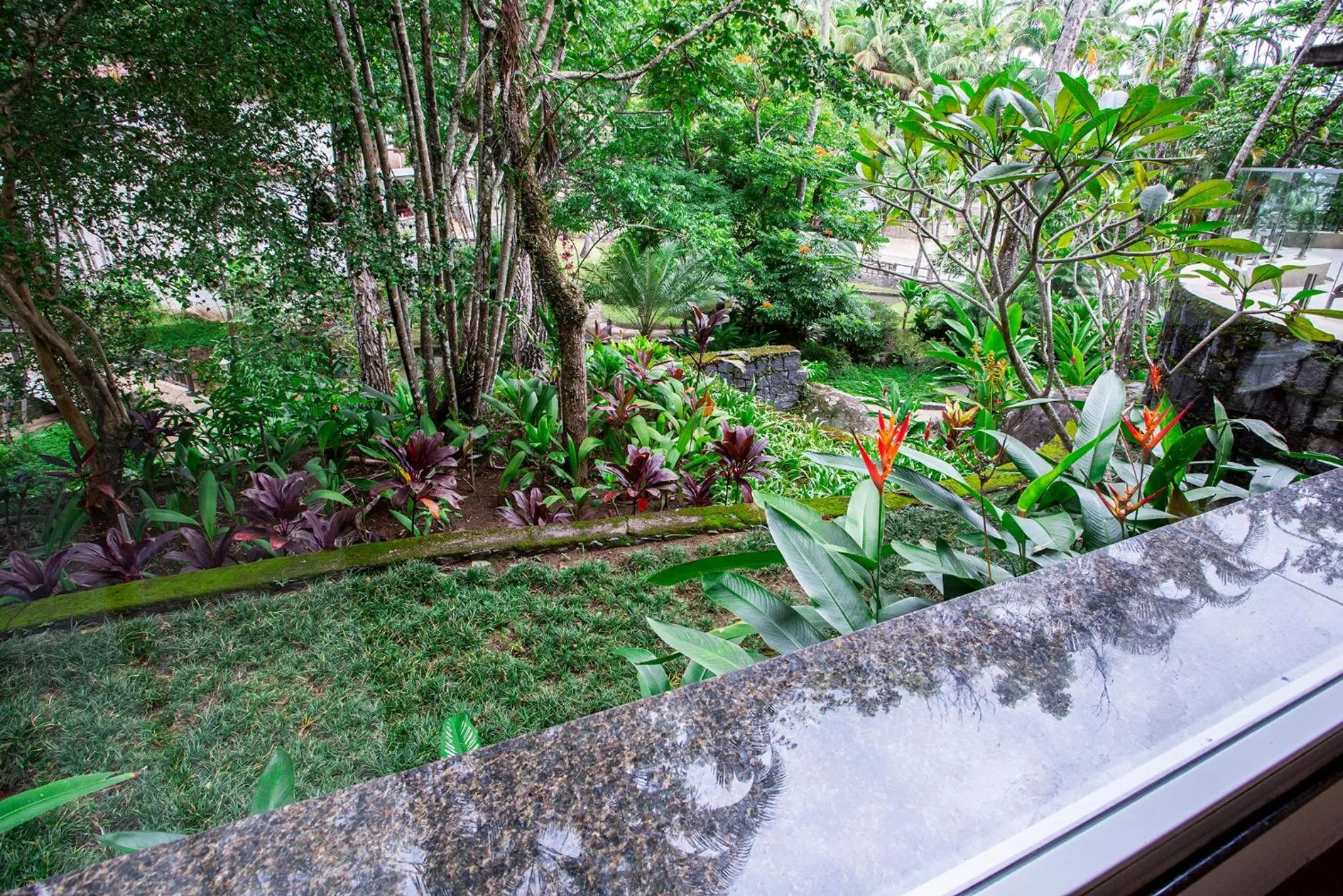 Natural landscape in Hotel Mercedes