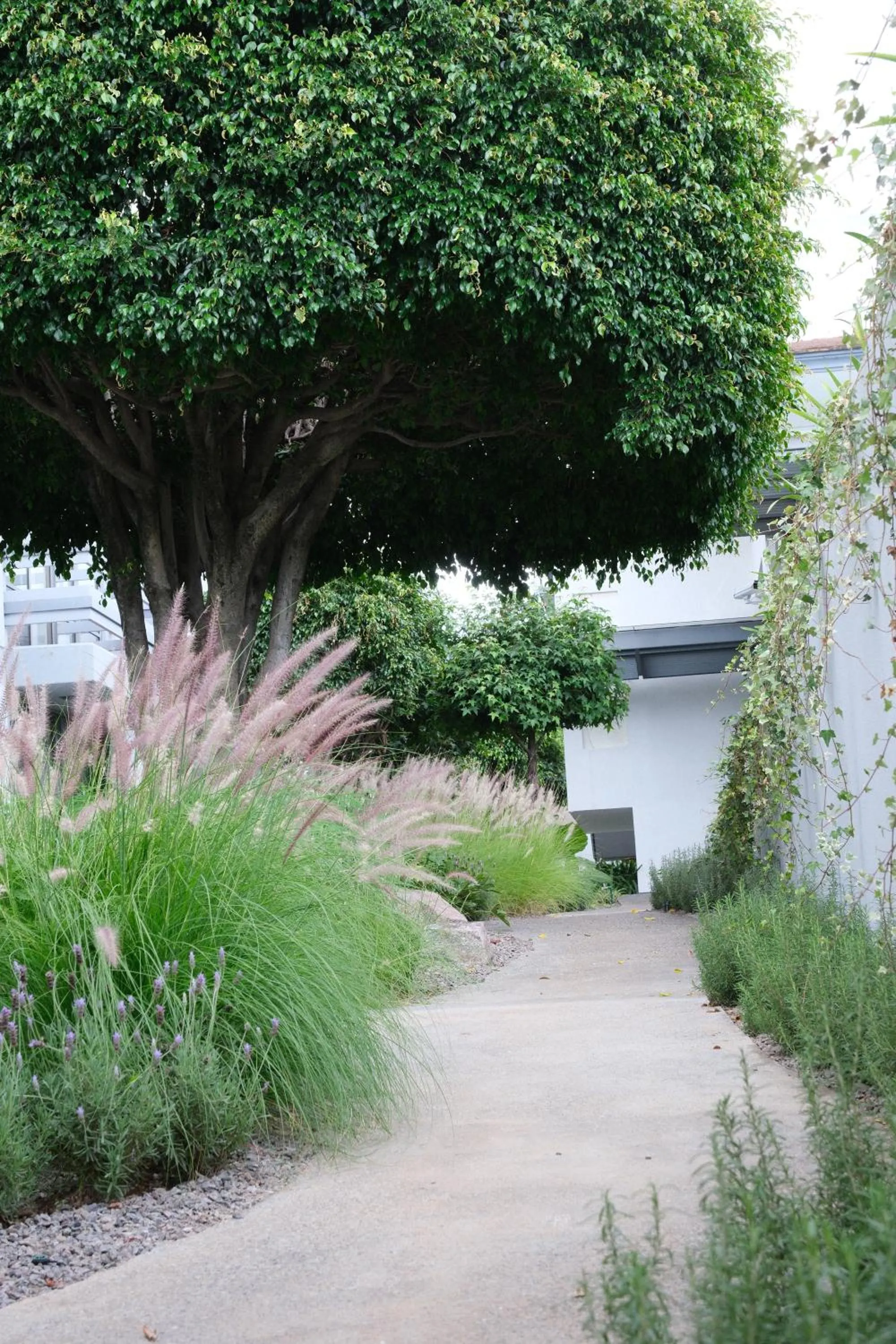 Garden in Hotel Horizon & Convention Center