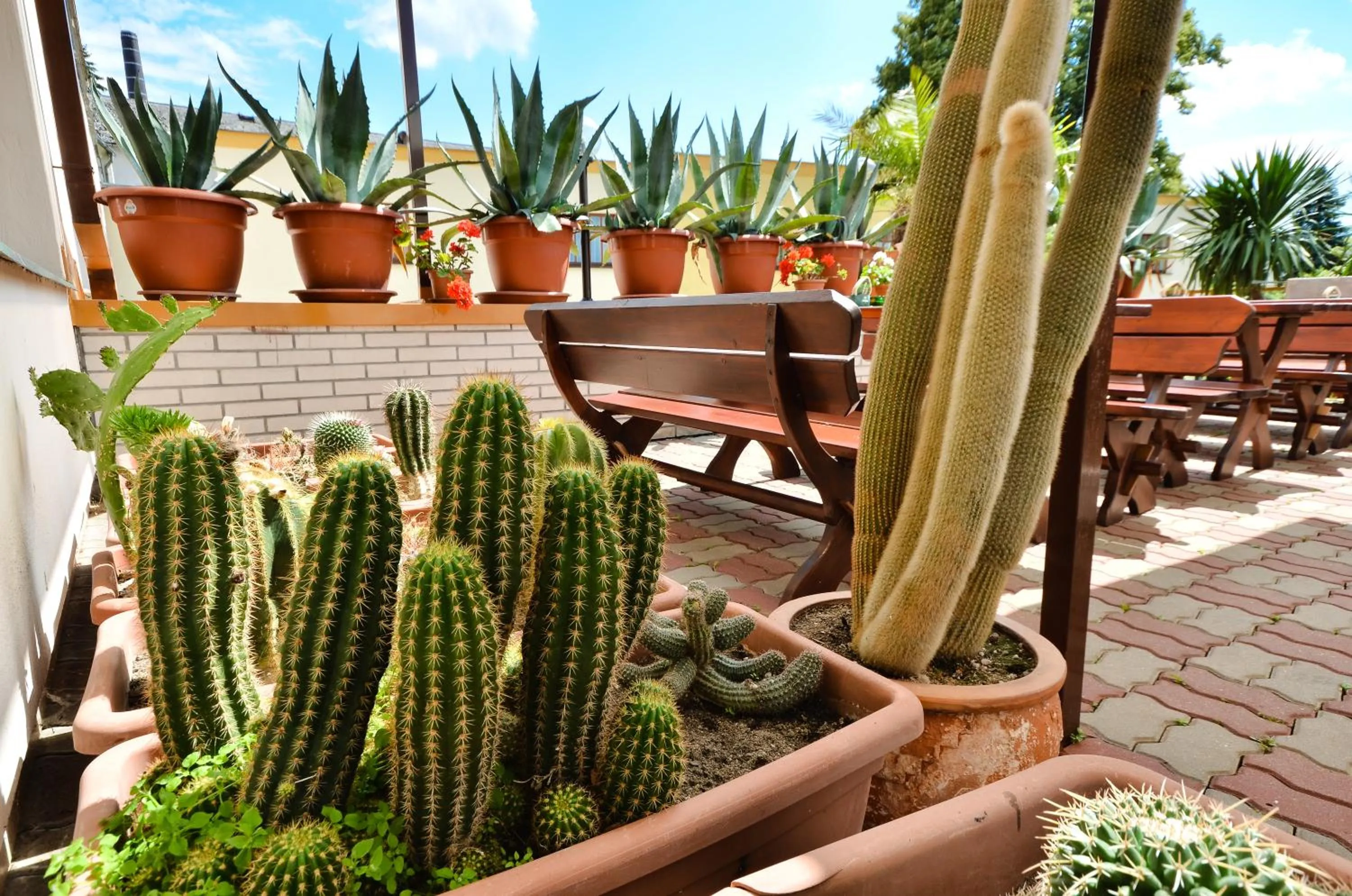 Balcony/Terrace in Hotel Kotyza