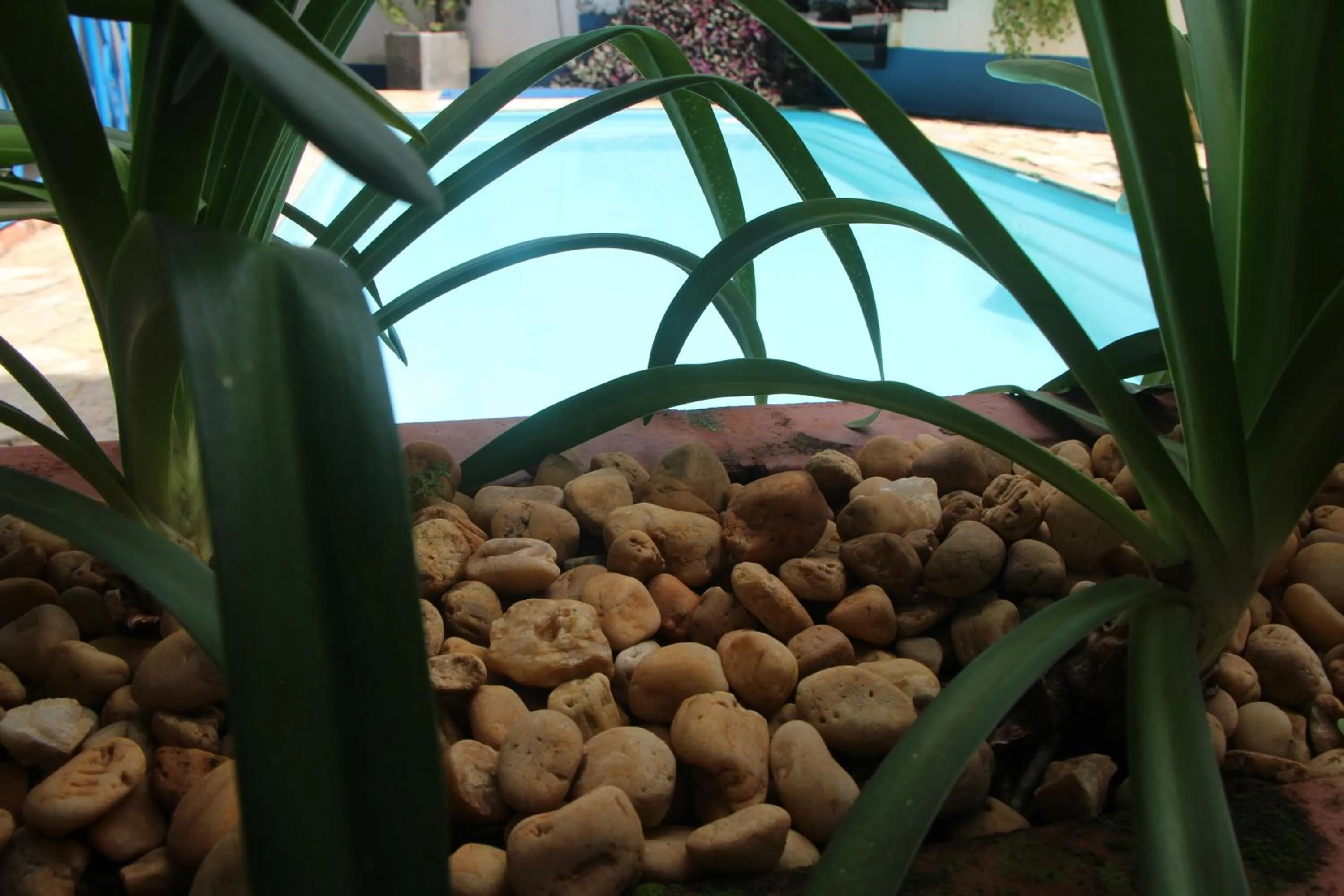 Swimming pool in Pousada Villa Real