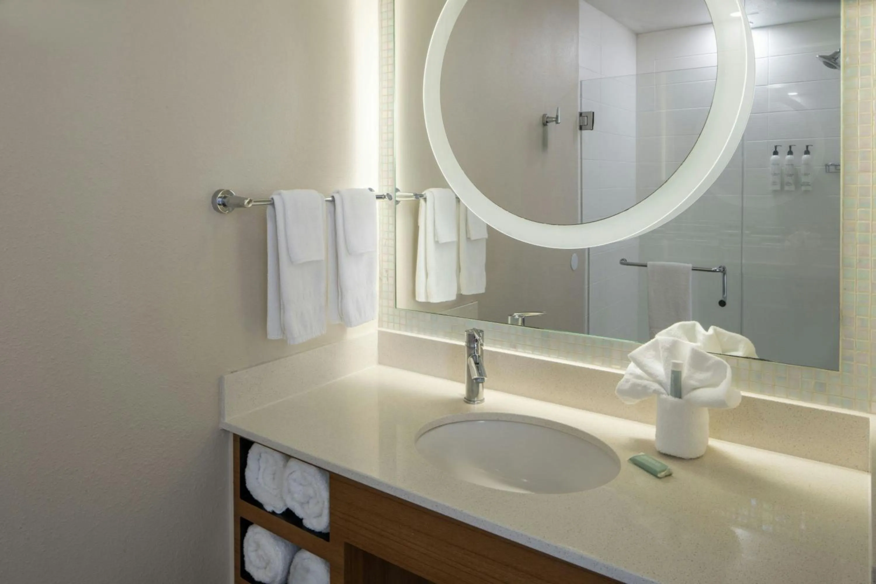 Bathroom in SpringHill Suites by Marriott Lake Charles