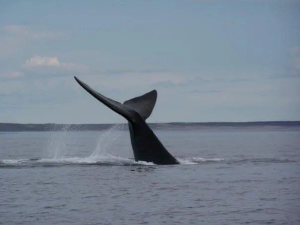 Off site in Del Nomade Hosteria Ecologica