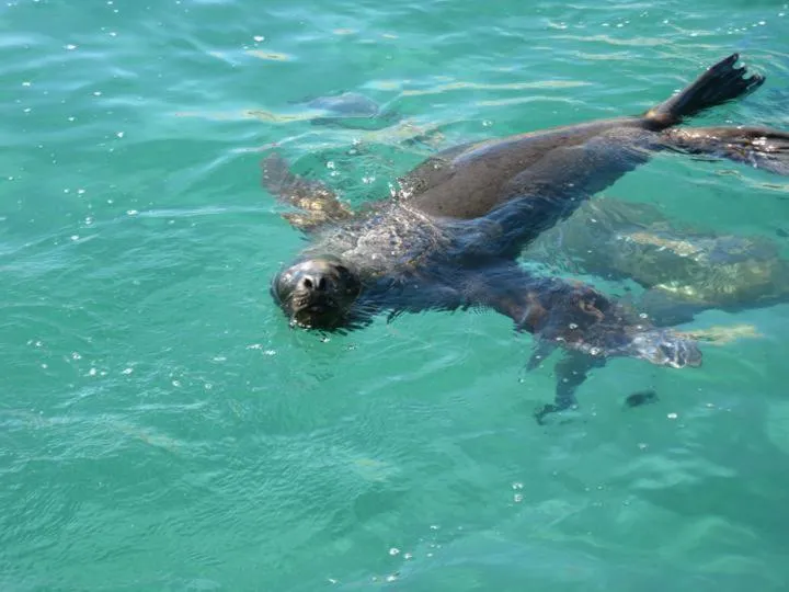 Area and facilities in Del Nomade Hosteria Ecologica