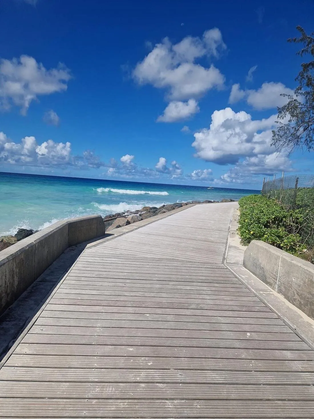 Beach in Blue Horizon Hotel