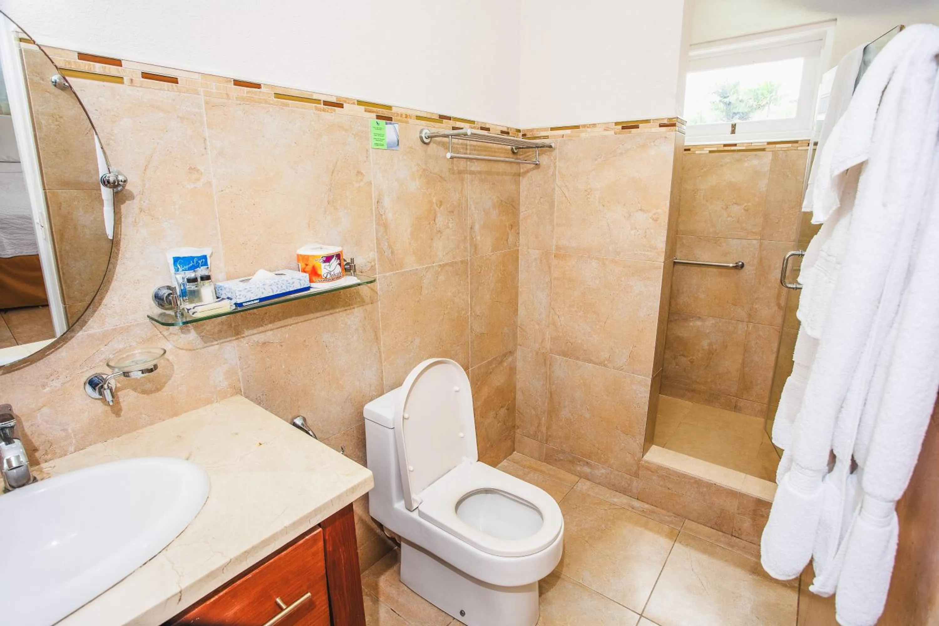 Shower in Blue Horizon Hotel