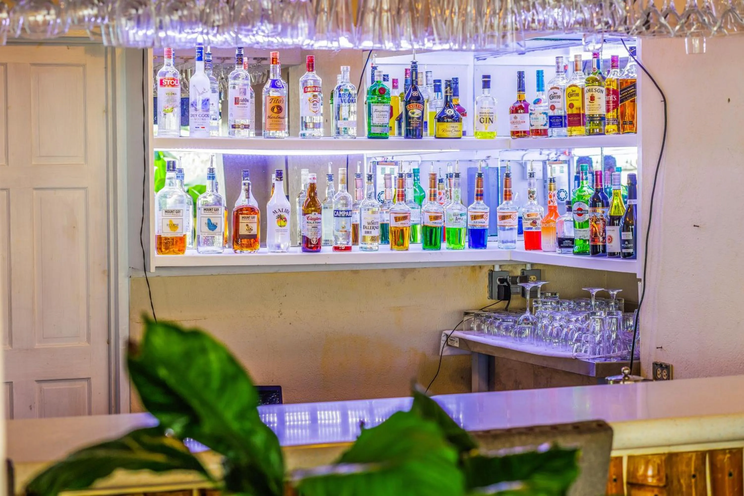 Restaurant/places to eat in Blue Horizon Hotel