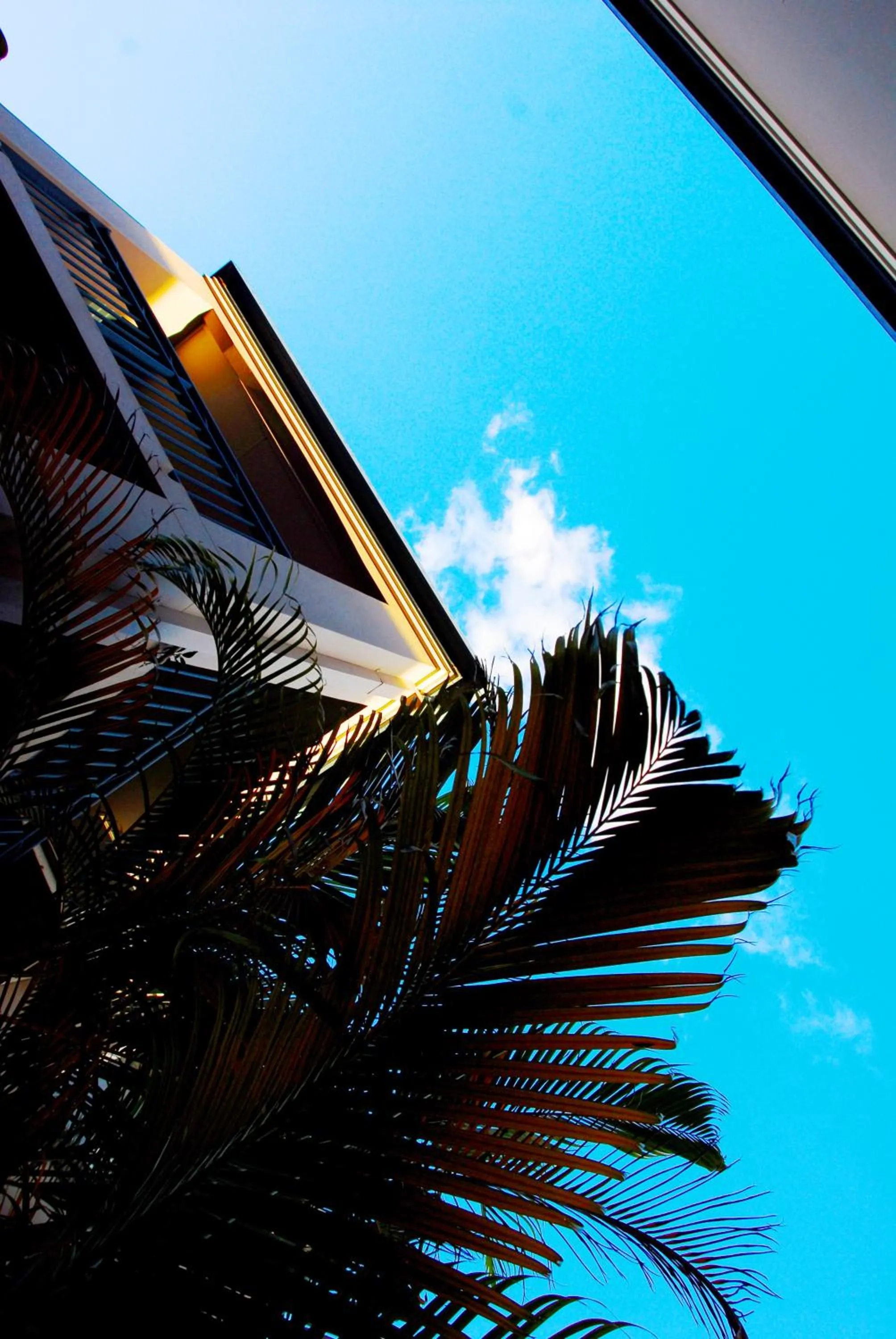 Property building in Montego Sands Resort