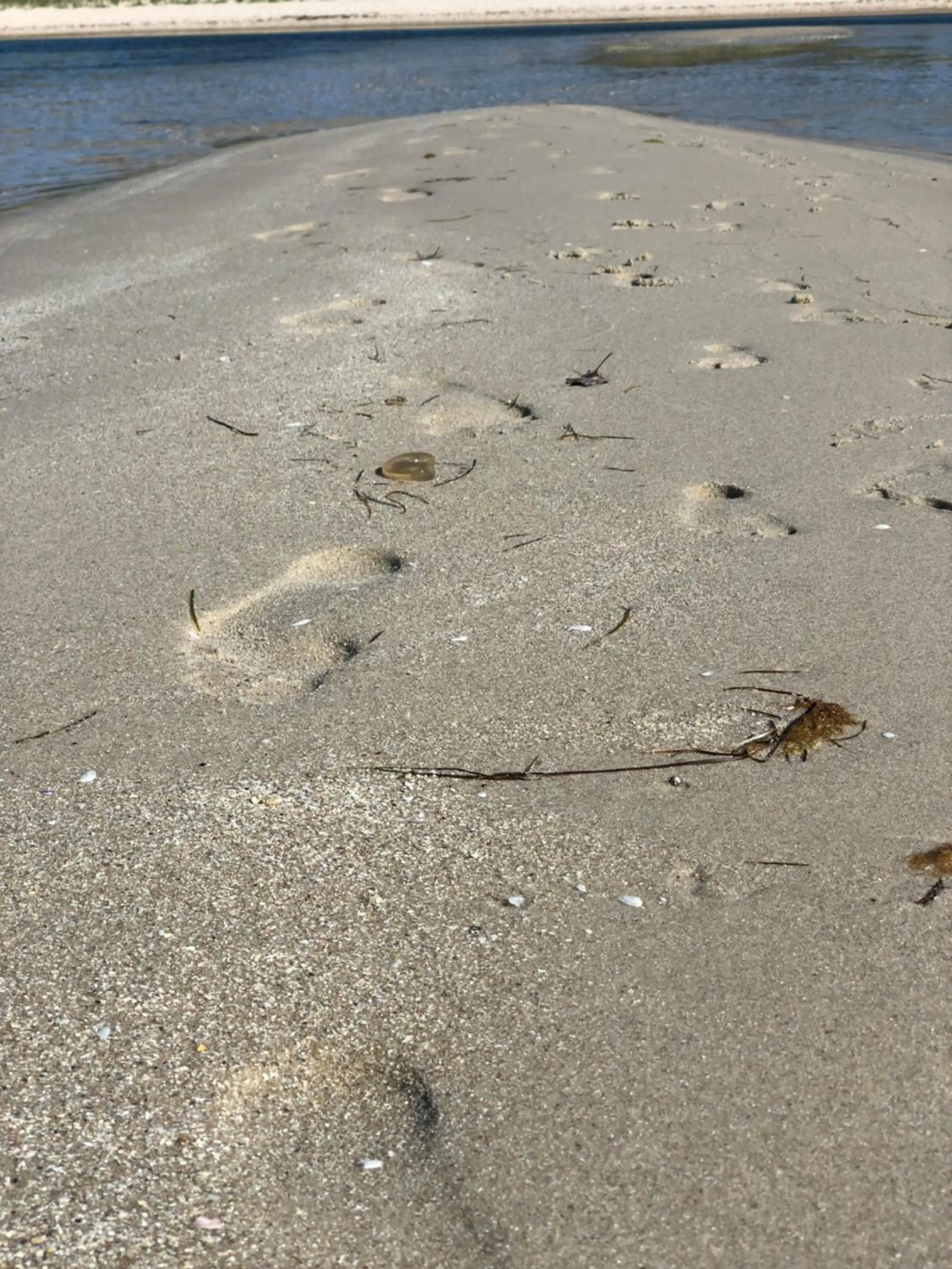 Neighbourhood in Beach Holiday Apartments