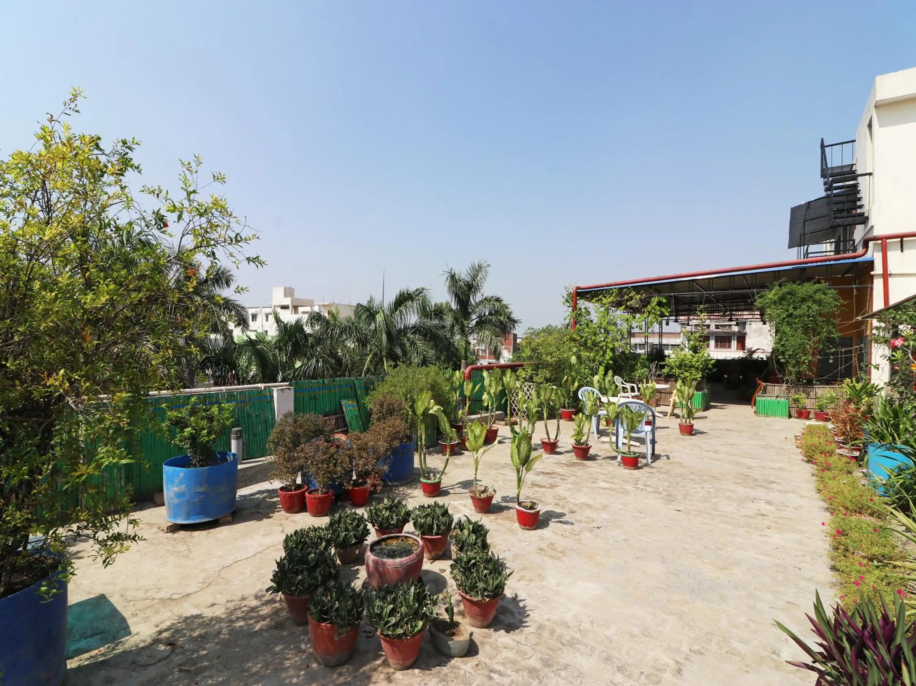 Property building in Hotel Buddha