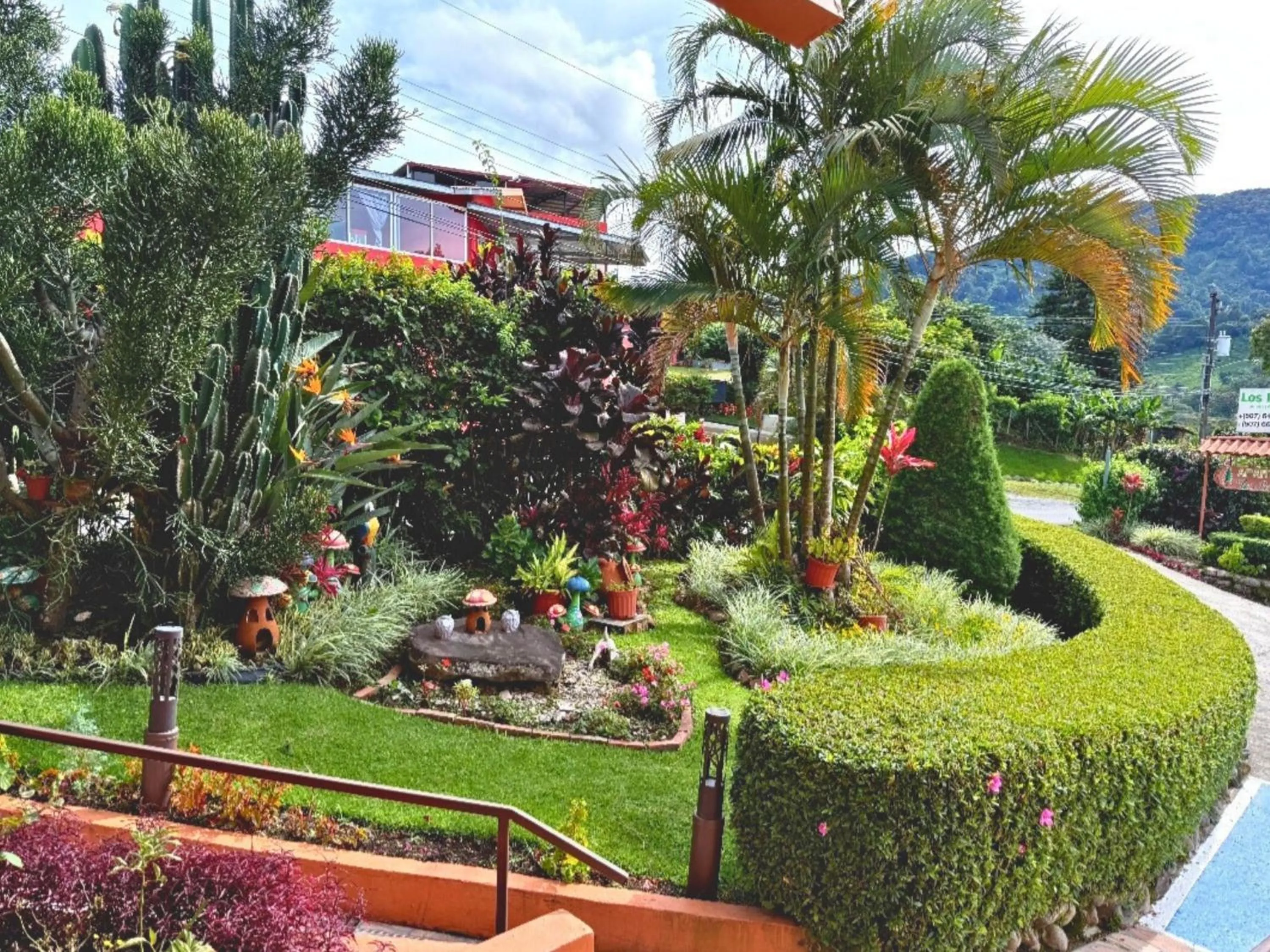 Garden in Aparthotel Los Pinos
