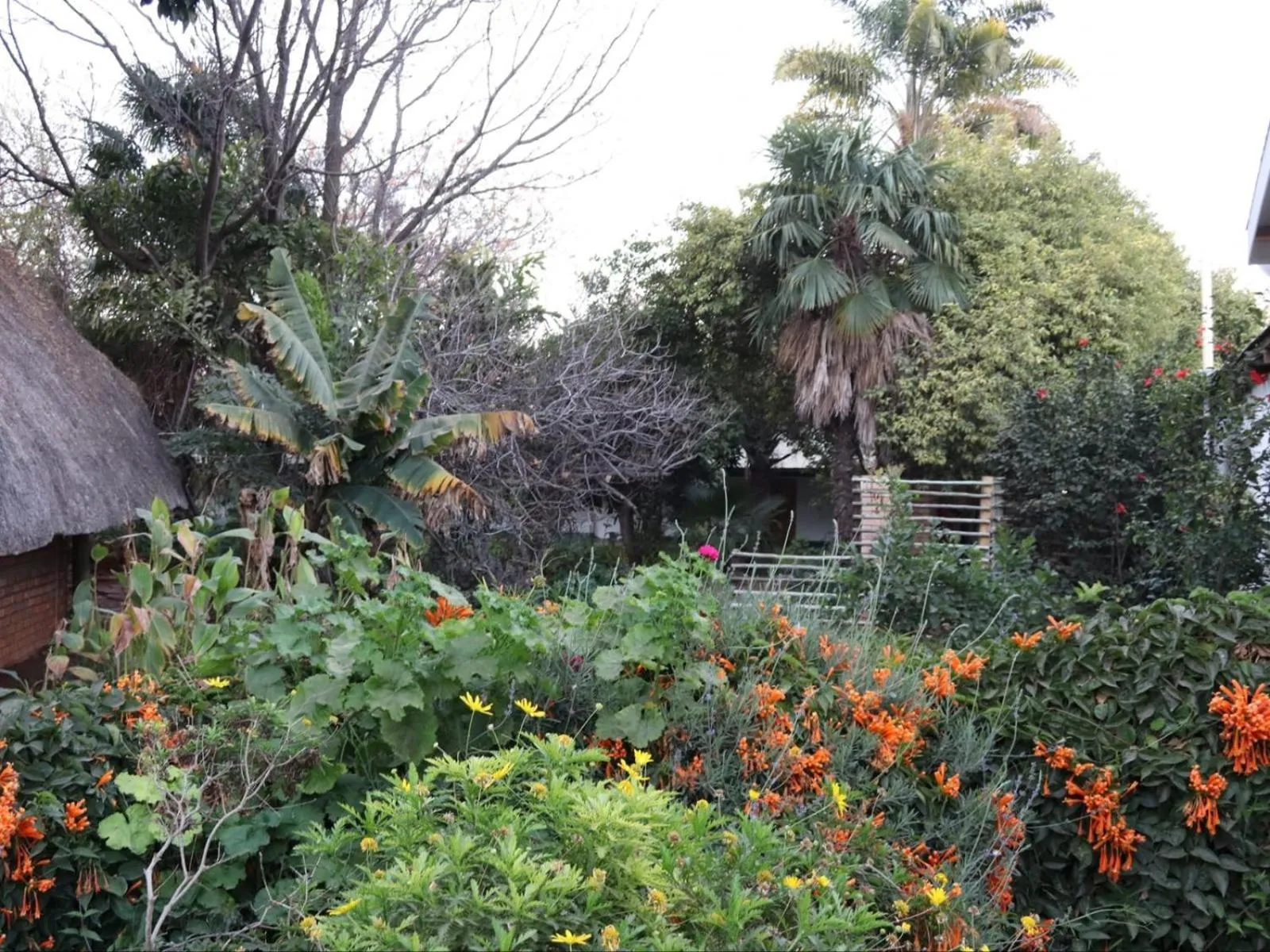 Garden in Serowe Hotel