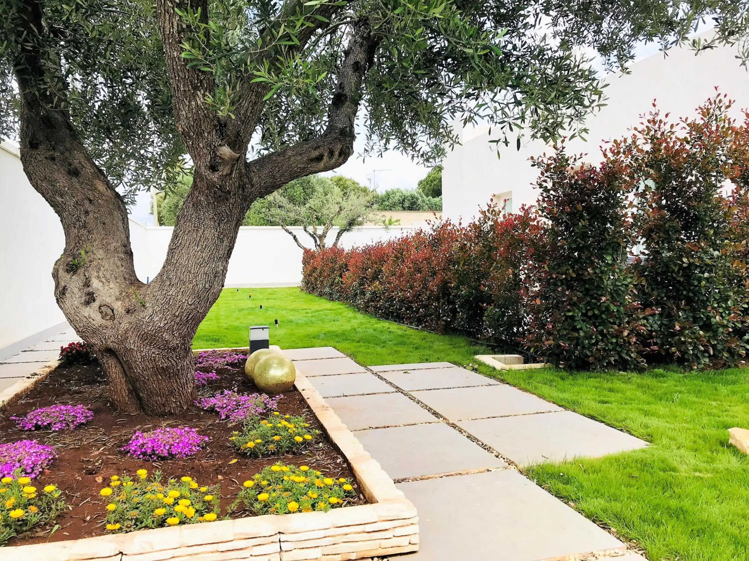 Garden in Hotel Belsito
