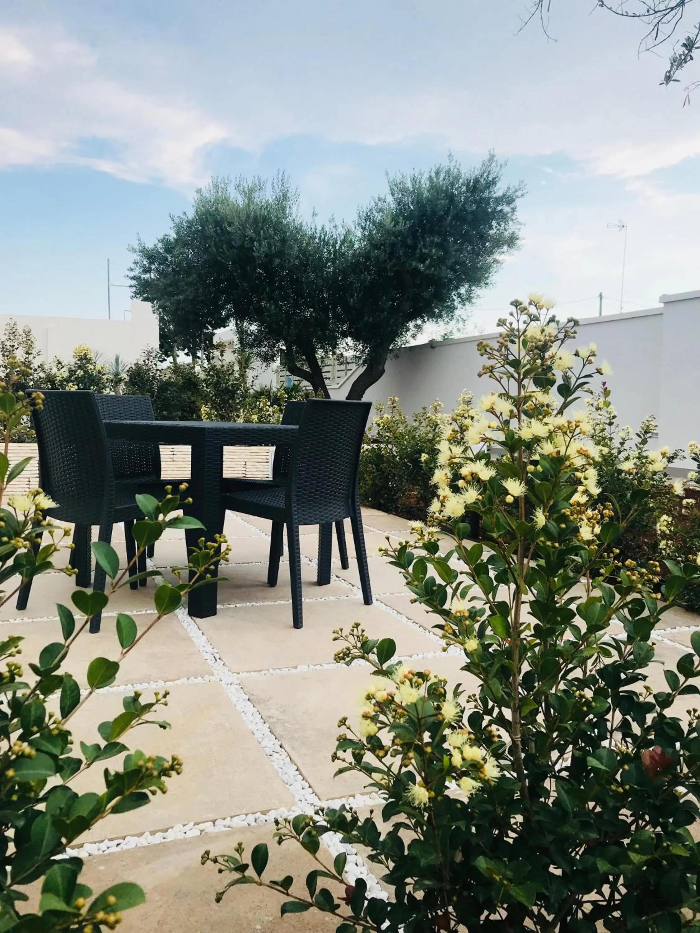 Garden in Hotel Belsito