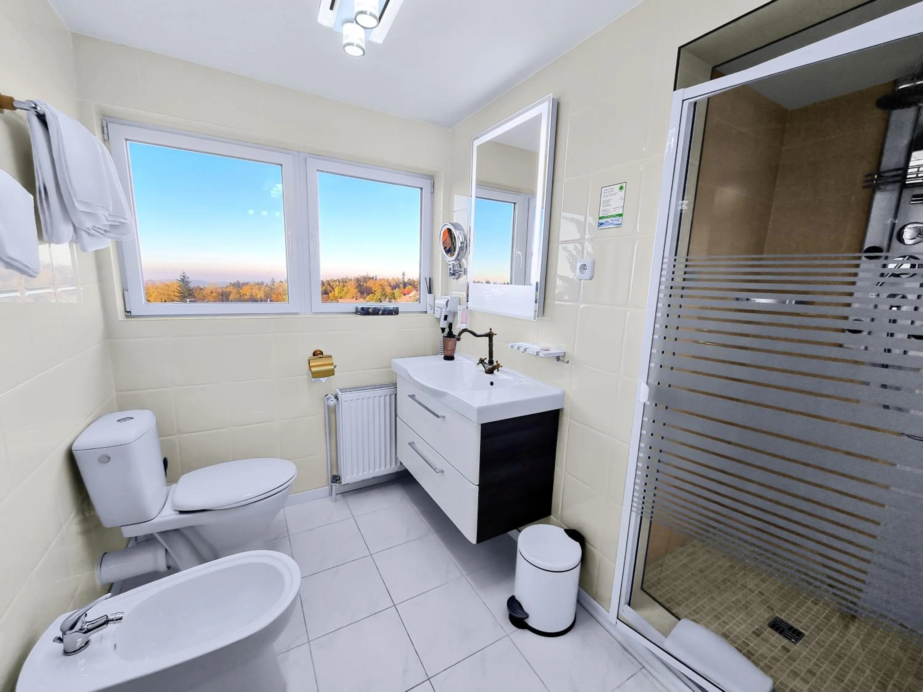 Shower in Hotel Rössle