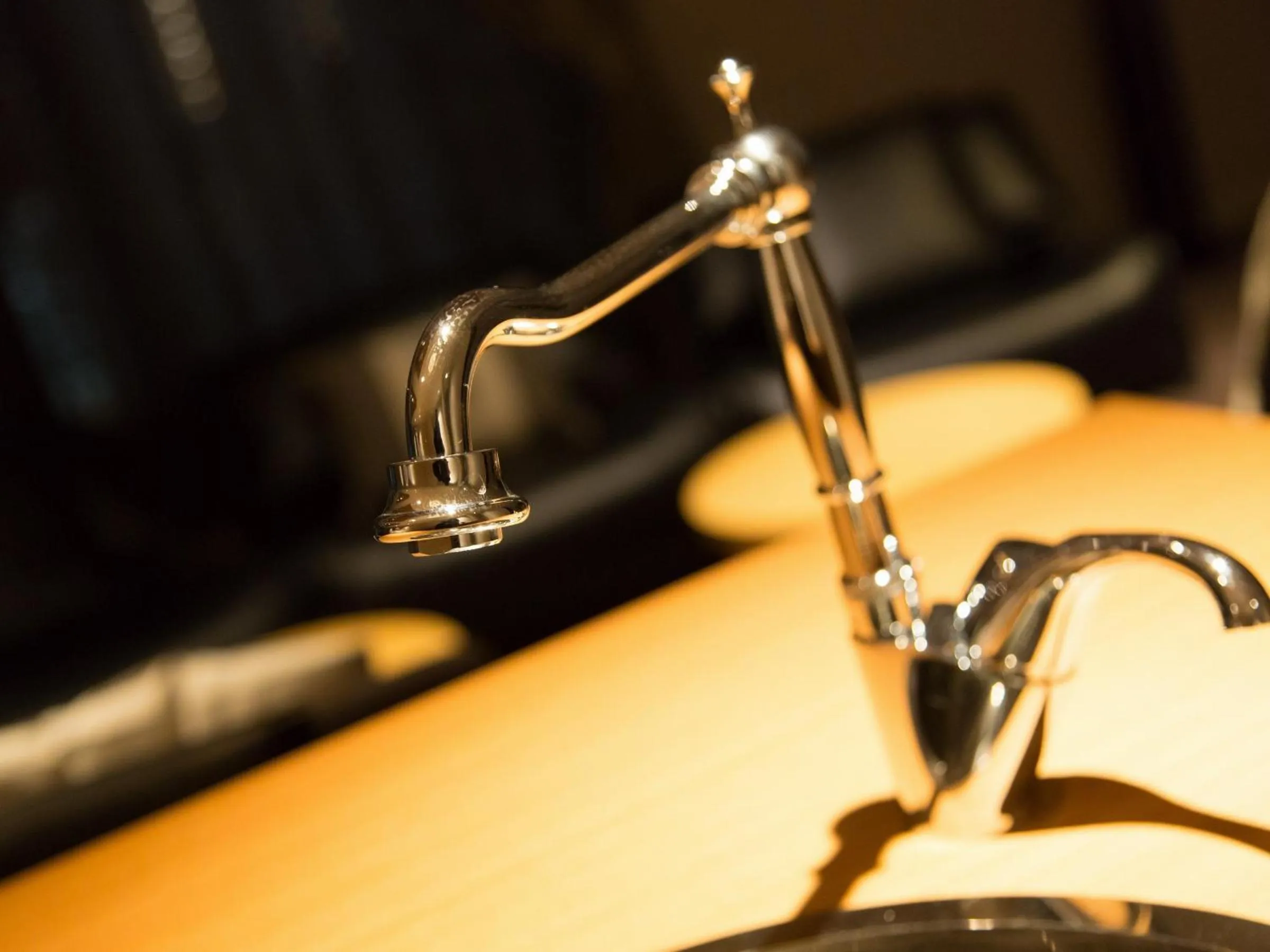 Area and facilities in Hotel Shiki Utsubo Park