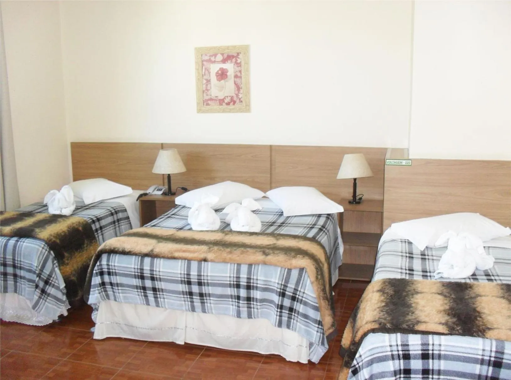 Parque Hotel de Lambari