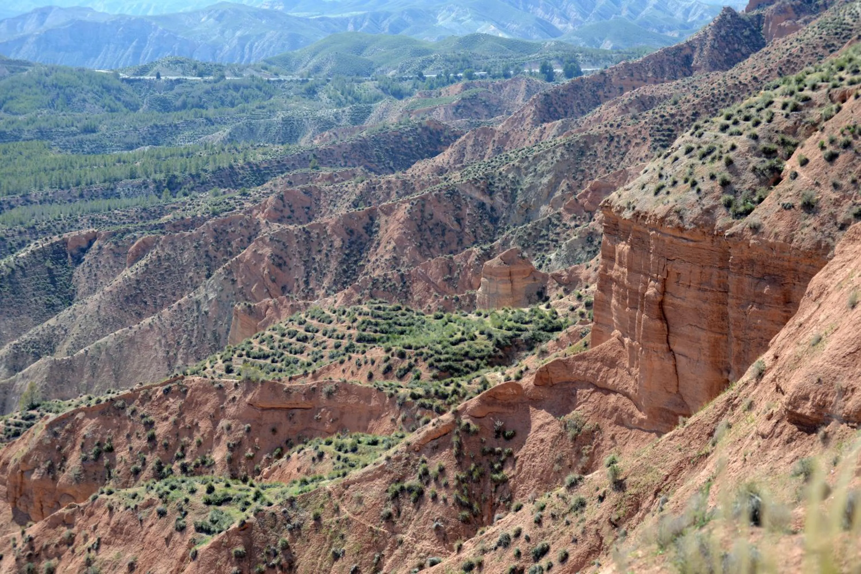 Natural landscape in Casa Mimi B&B Adults Only