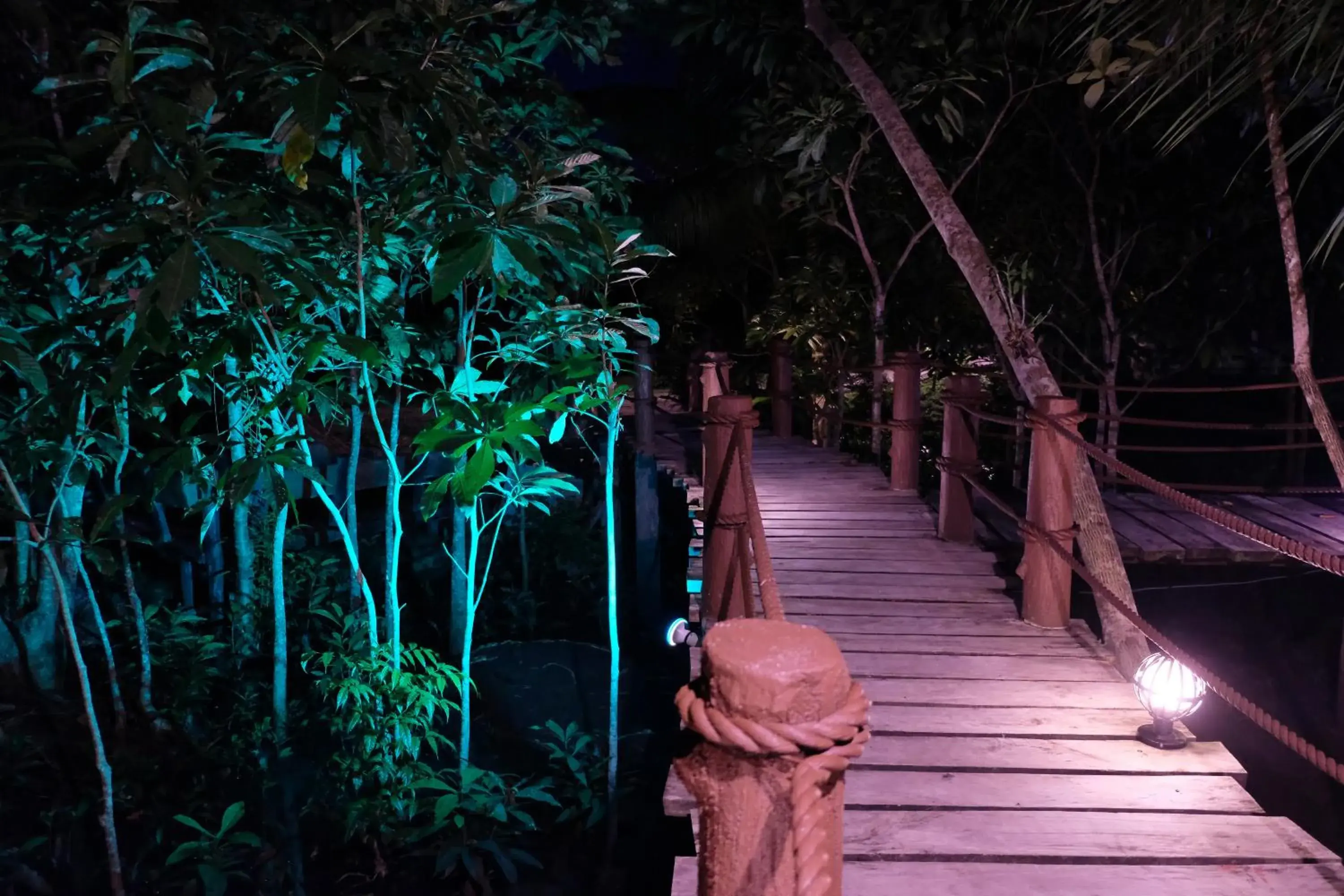 Garden view in Loboc River Resort Garden view in Loboc River Resort