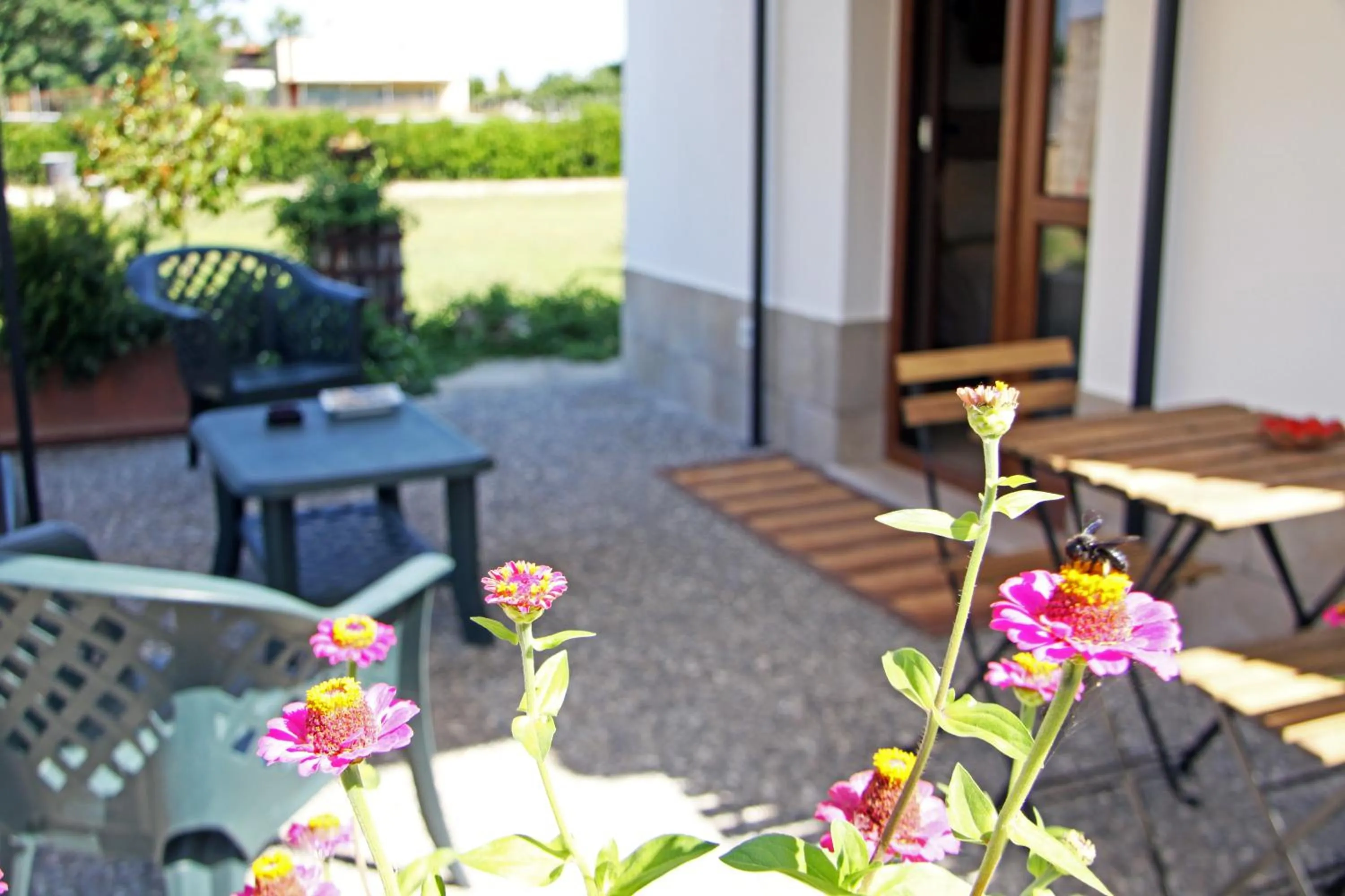 Garden in B&B Villa Sofia