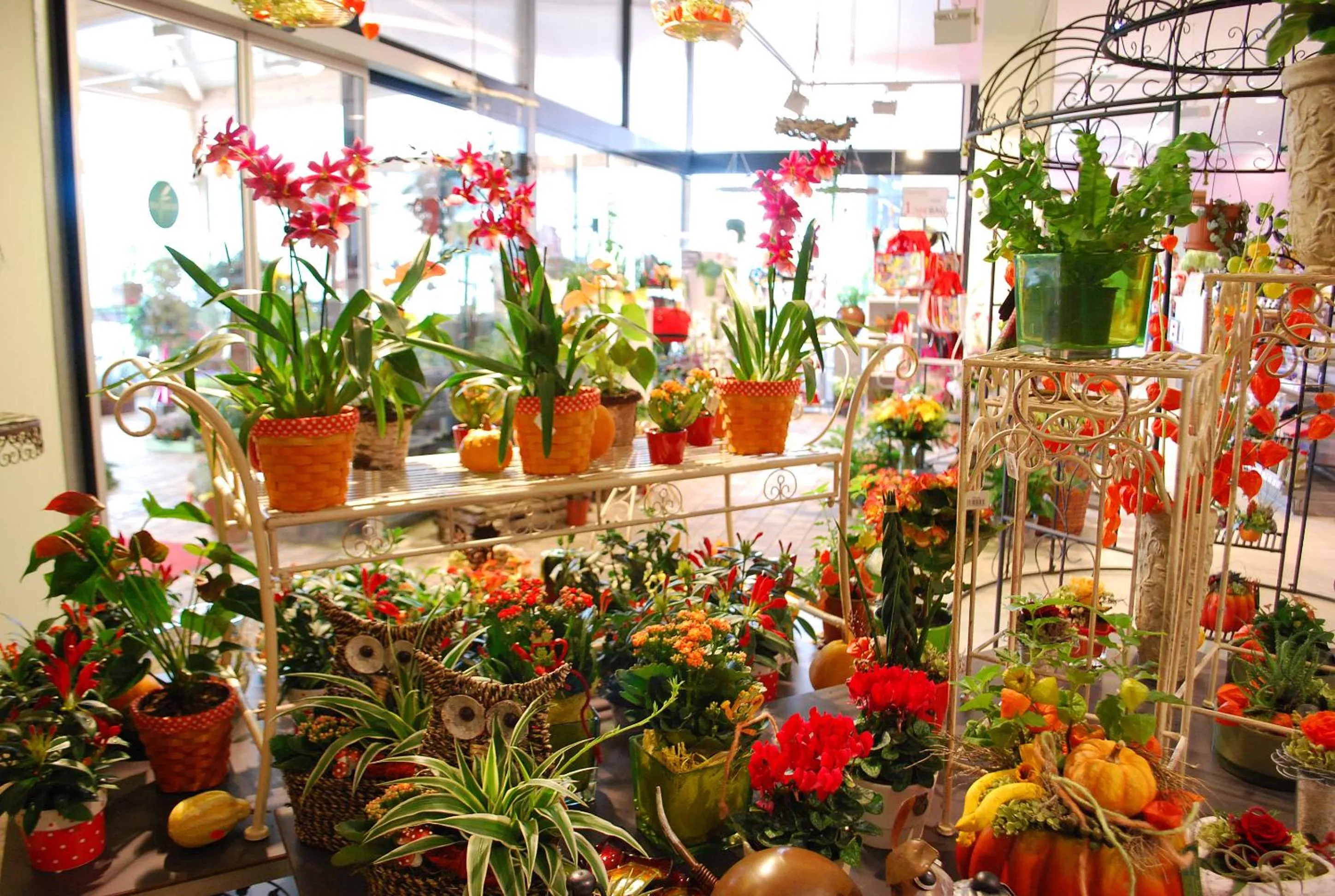 On-site shops in Kaiserrast