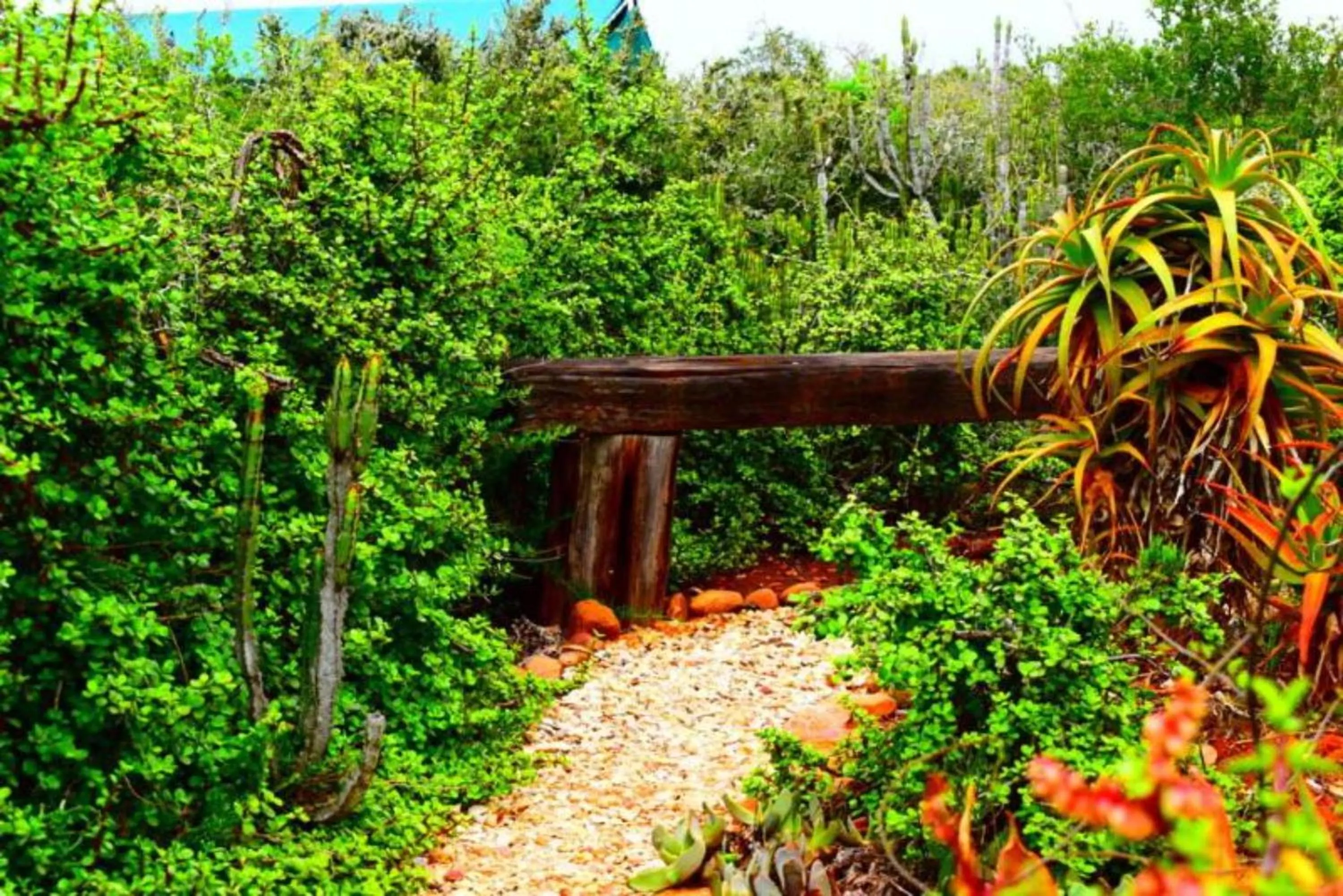 Garden in Kudu Ridge Game Lodge