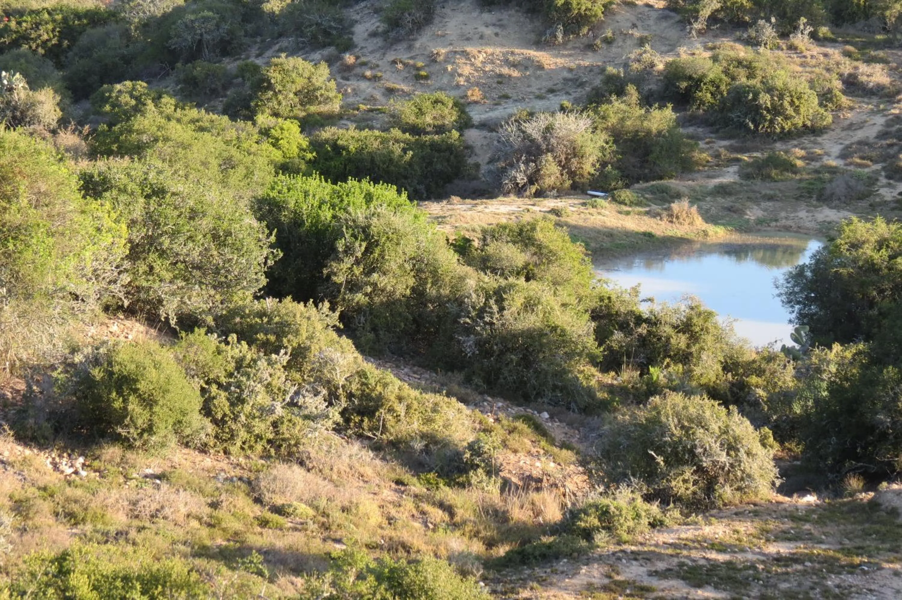 Natural landscape in Kudu Ridge Game Lodge
