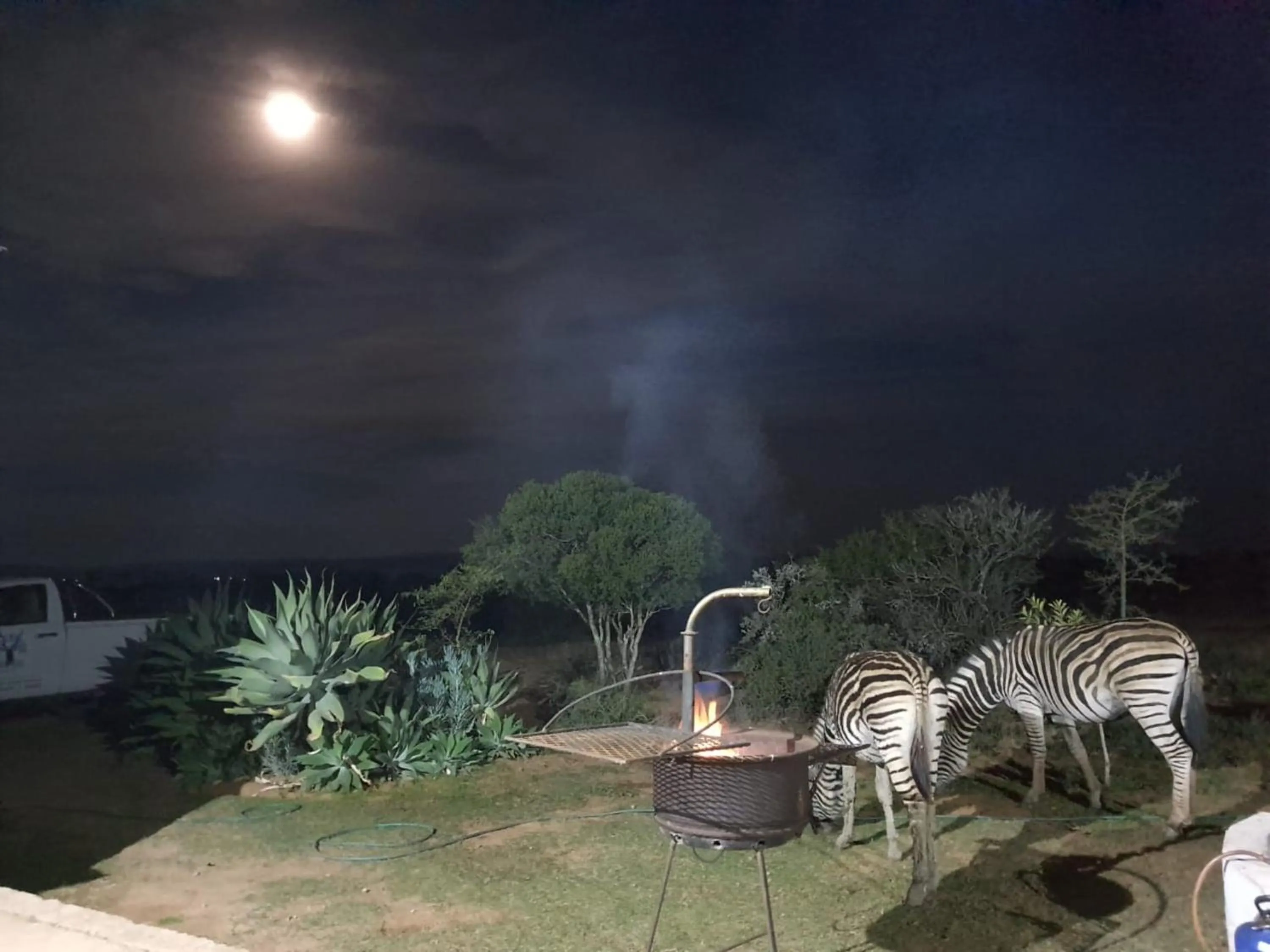BBQ facilities in Kudu Ridge Game Lodge