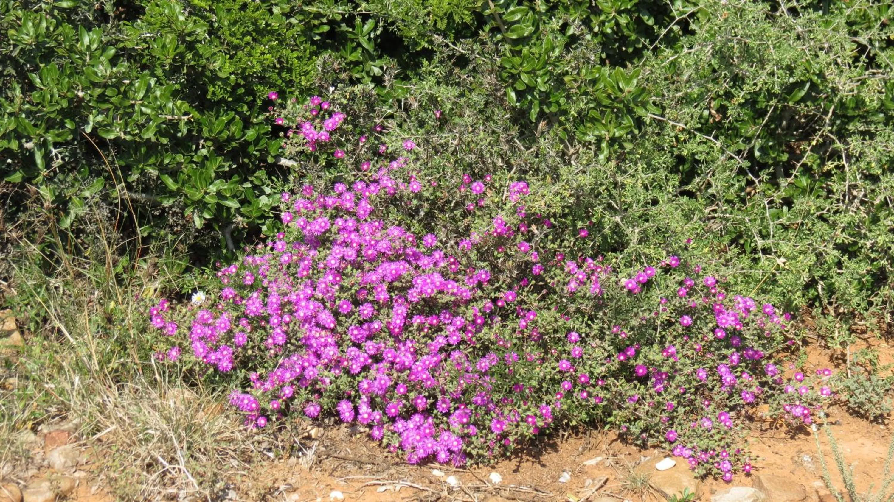 Area and facilities in Kudu Ridge Game Lodge