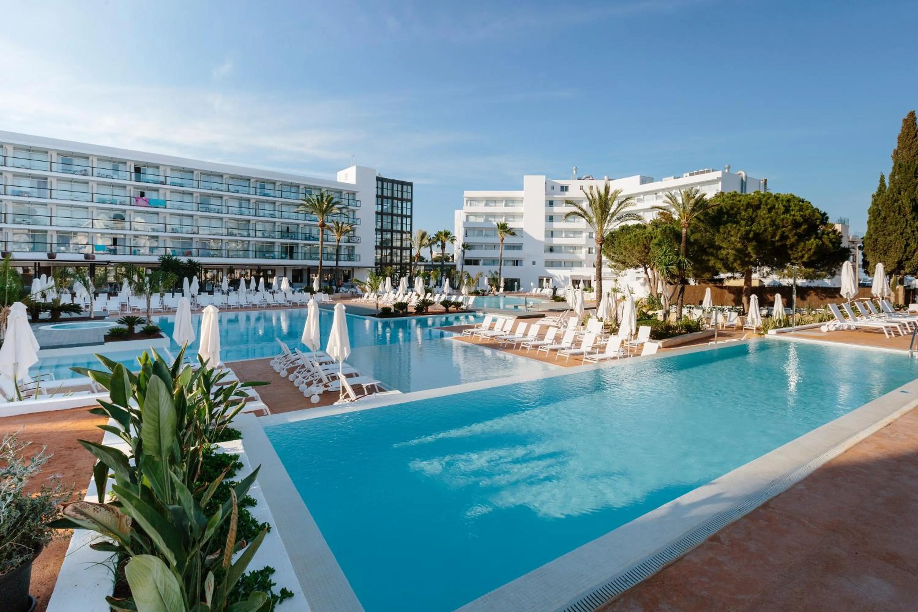 Swimming pool in AluaSoul Ibiza - Adults only