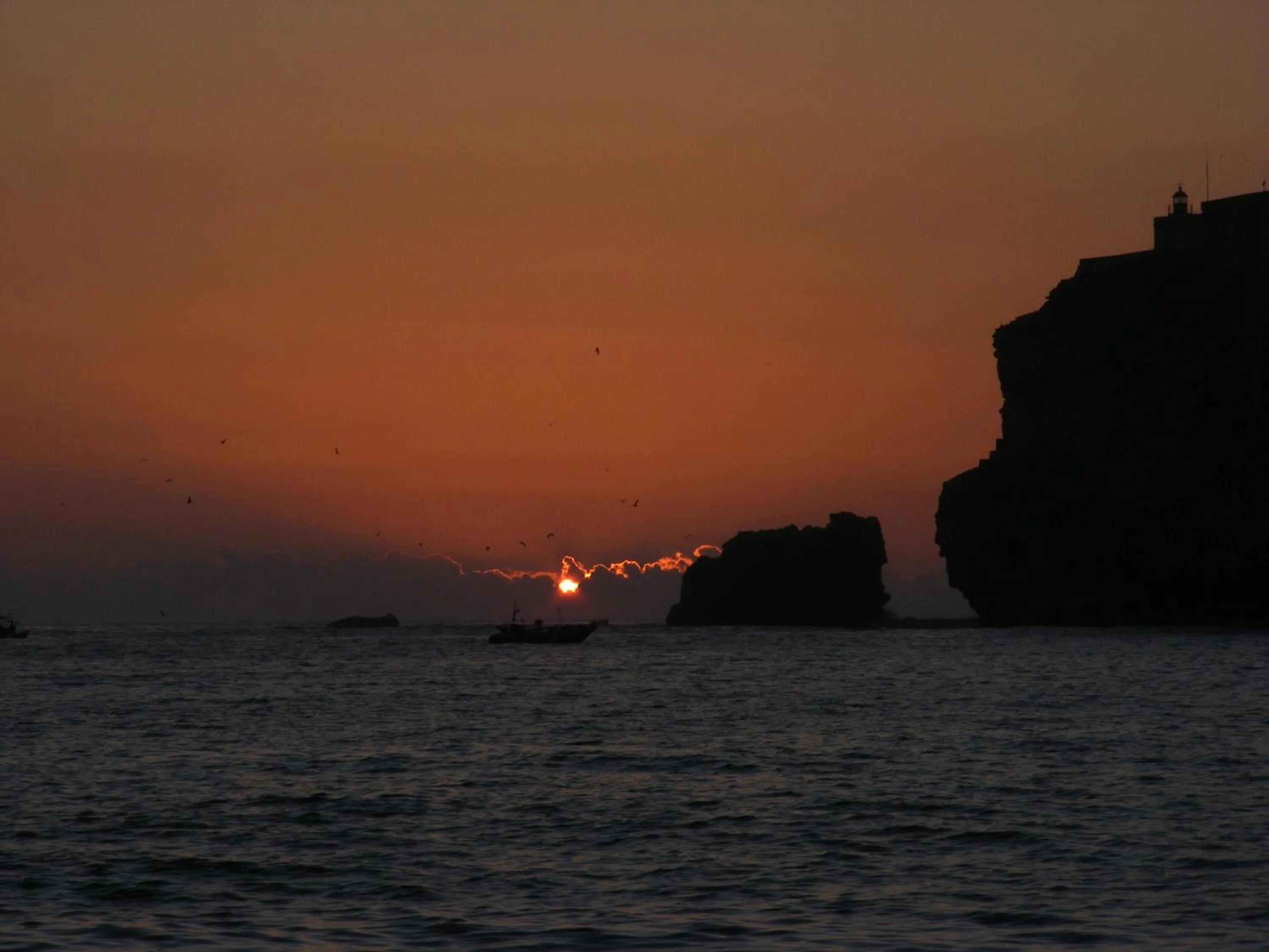 Natural landscape in Hotel Ancora Mar
