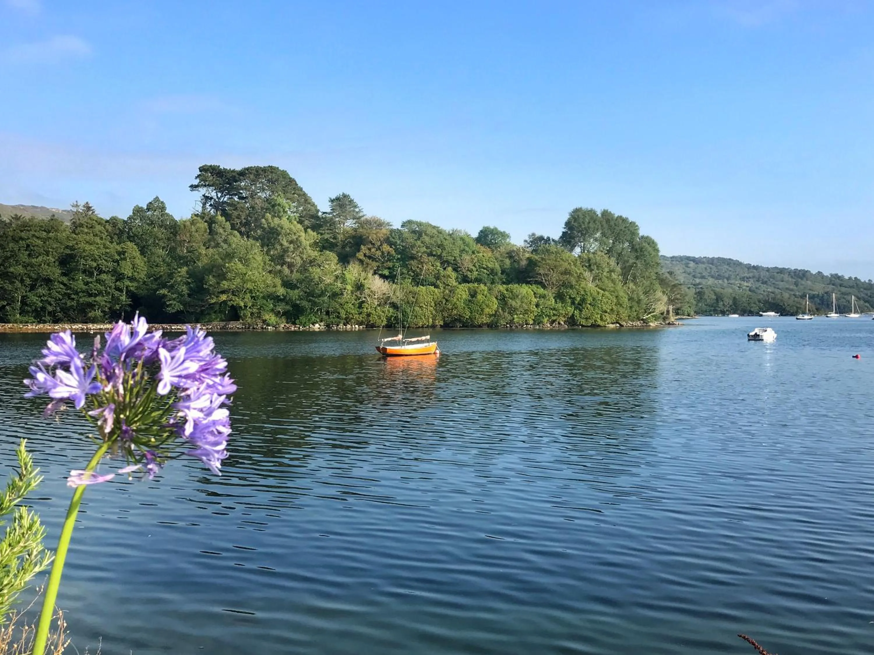 Natural landscape in Niblick