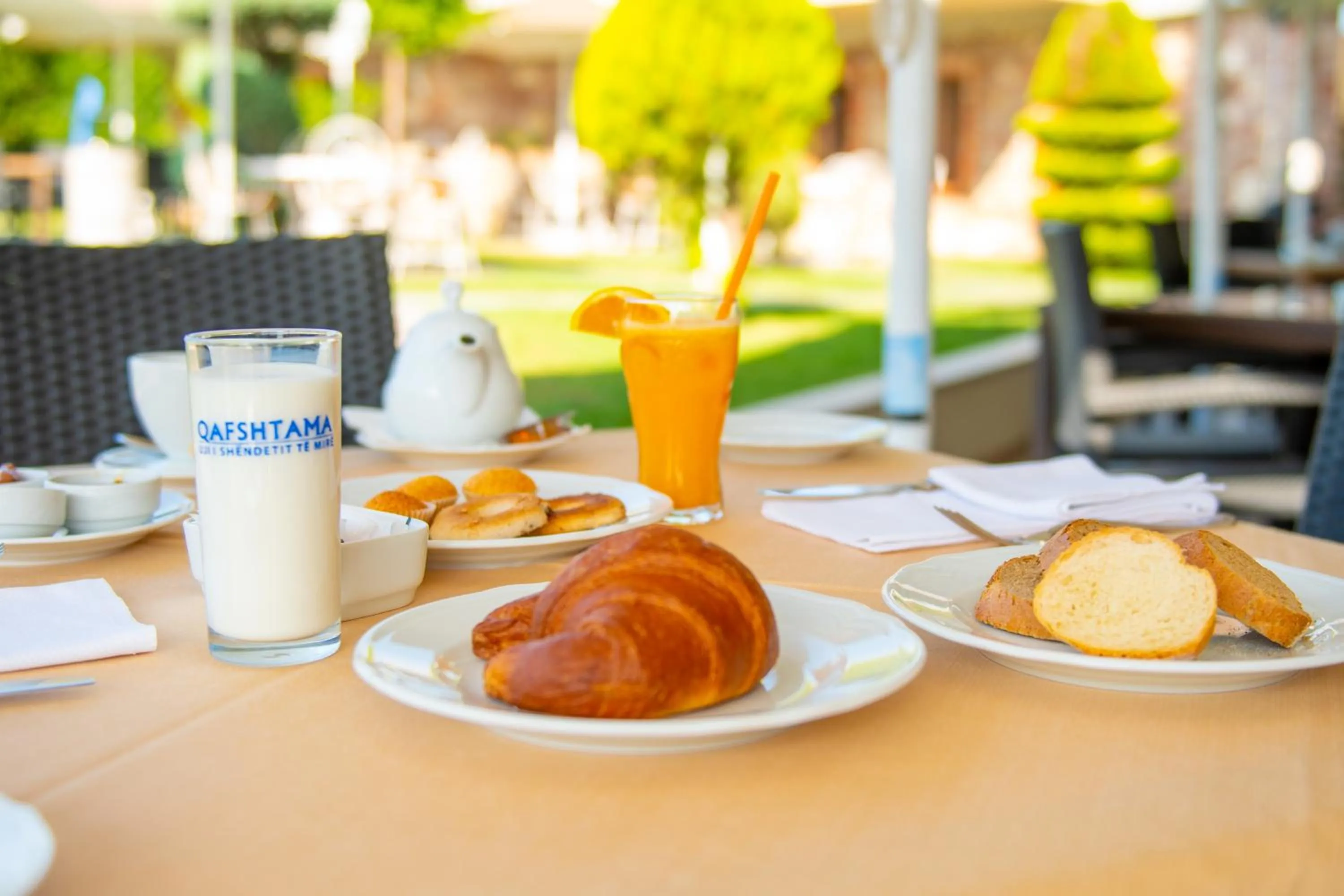 Garden in Hotel Airport Tirana
