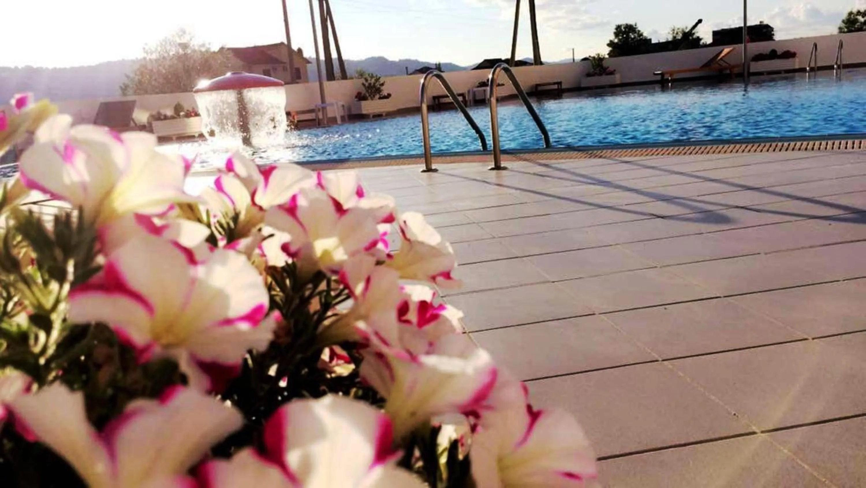 Garden in Hotel Airport Tirana