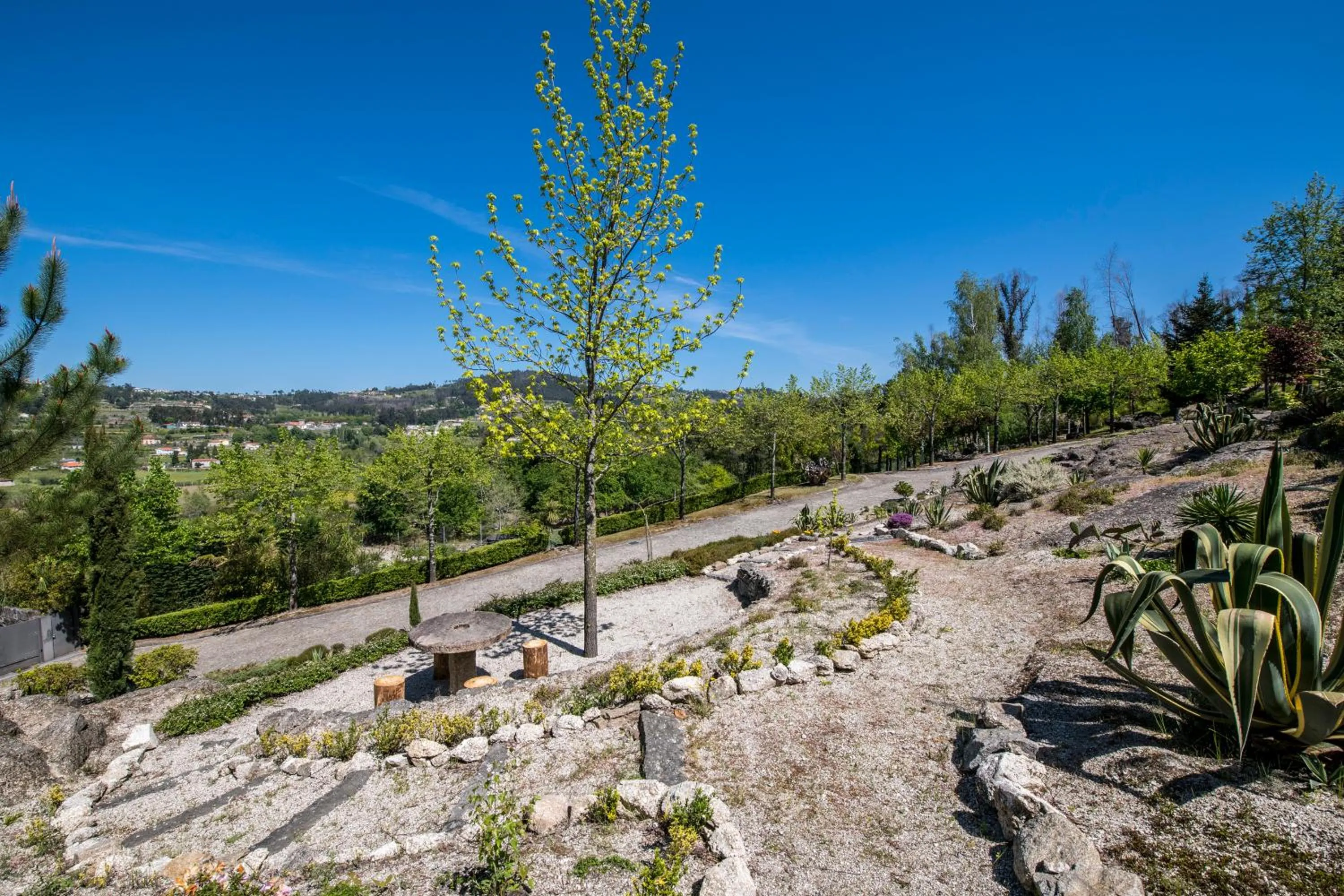 Garden in Casa da Costa Grande